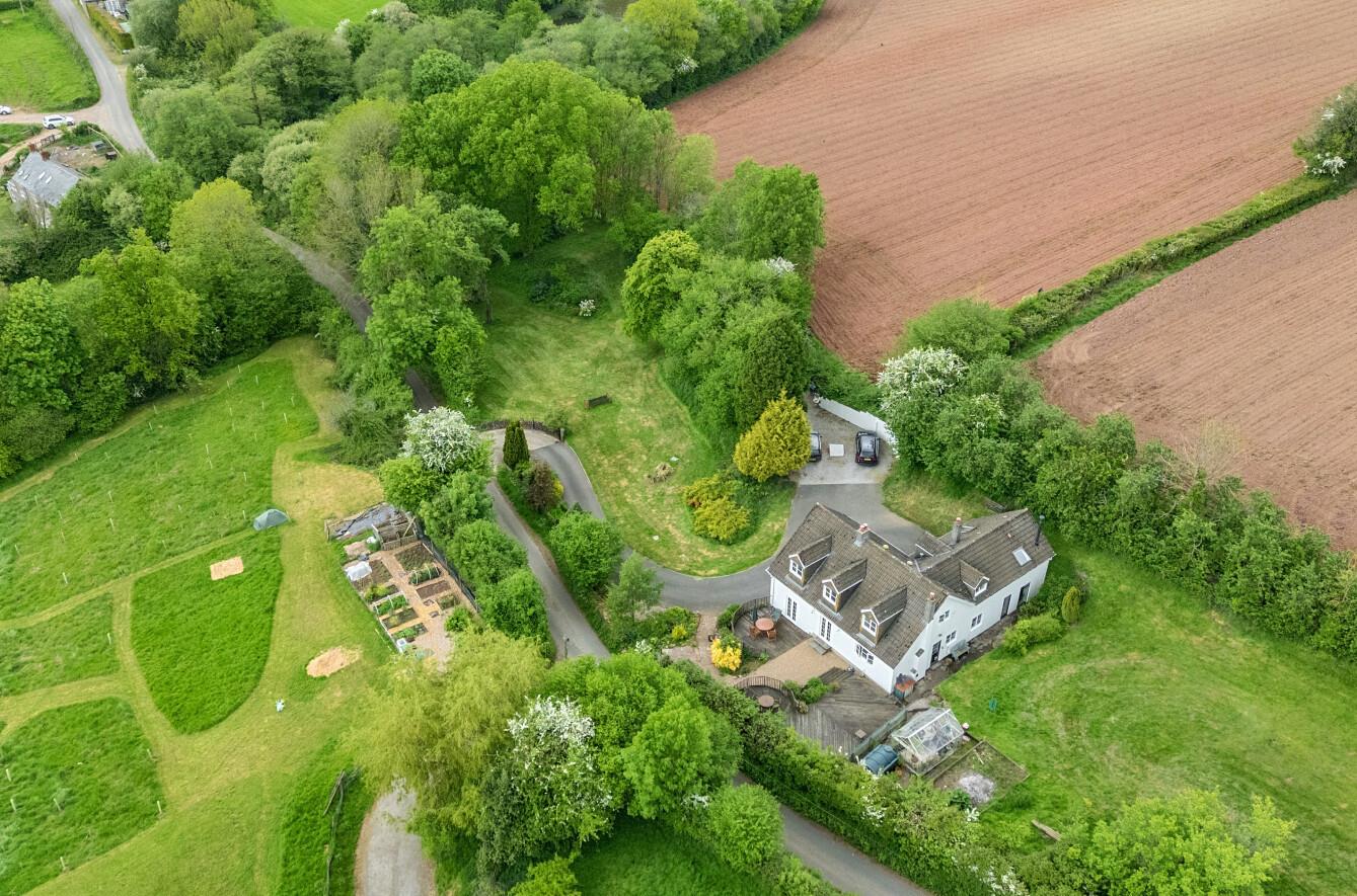 Image 26