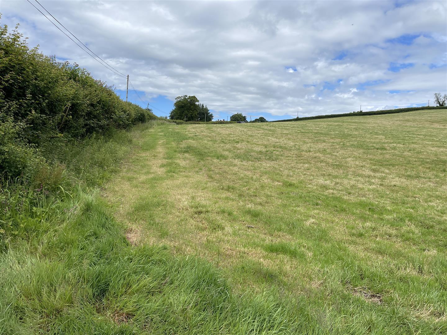 Property Image ab20455e-211a-4dde-90fa-e53f7bbc69ec