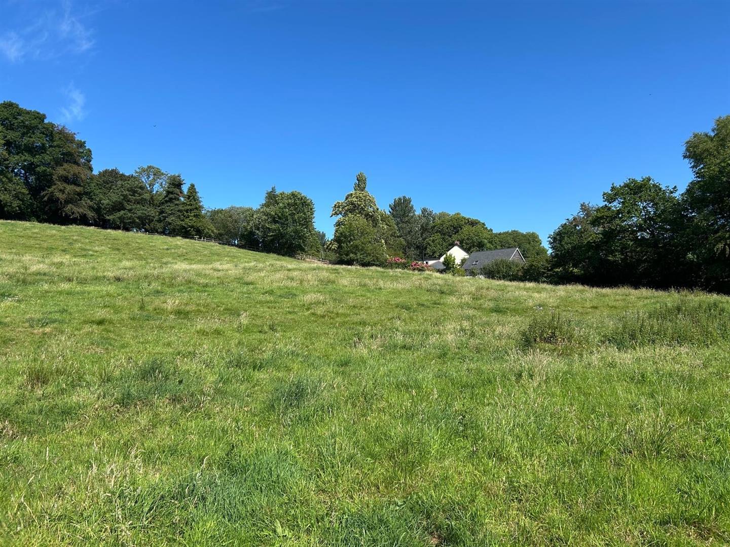 Property Image ab5df3a6-9319-40ff-ac61-f534fa803652