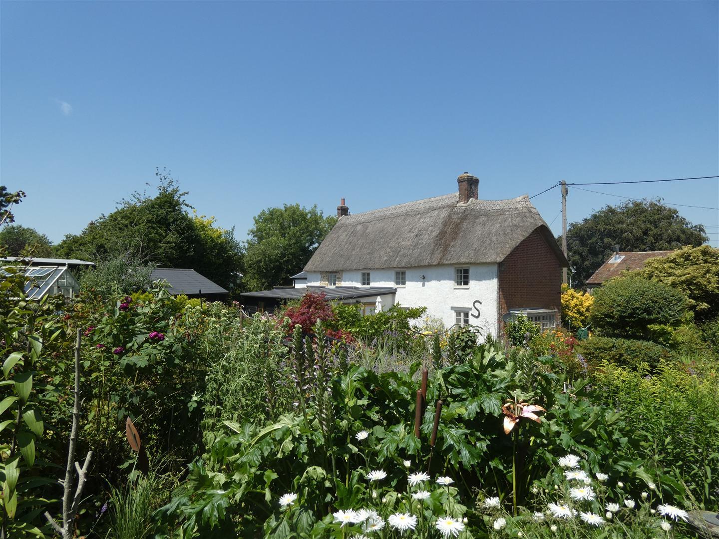 Property Image ab9d2b55-a8ae-4c81-8866-249426ee0a95