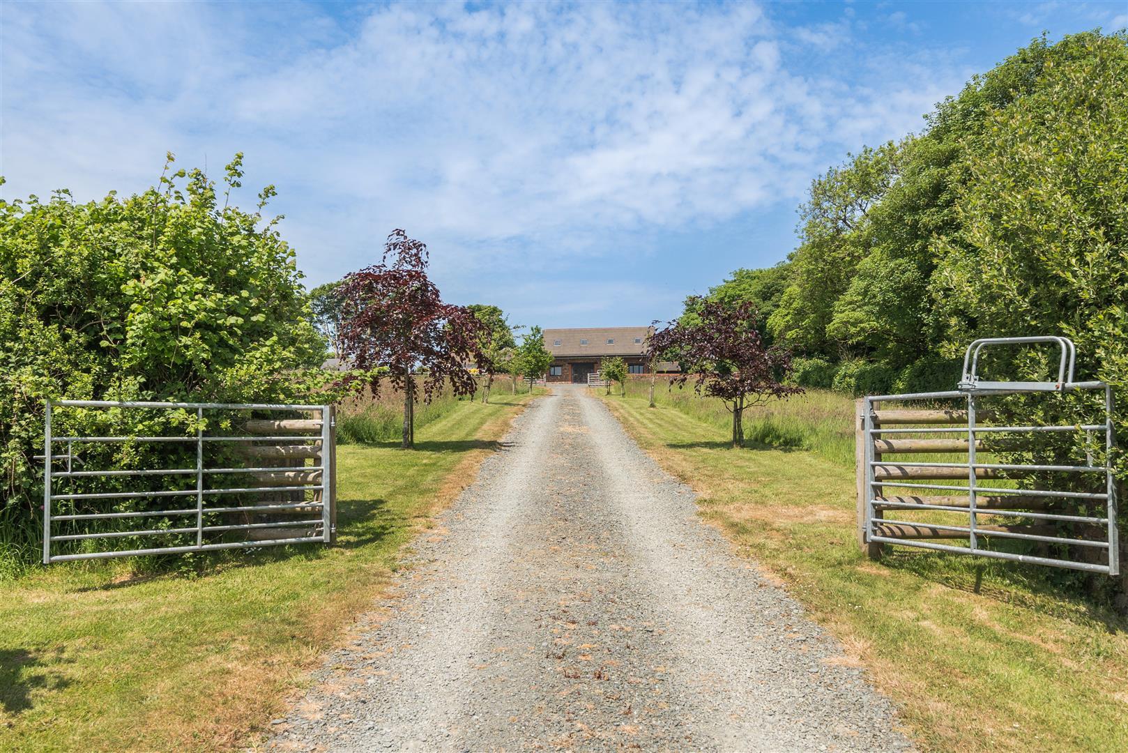 Property Image abed1f85-c70f-4d01-a1d9-40713dc2a63b