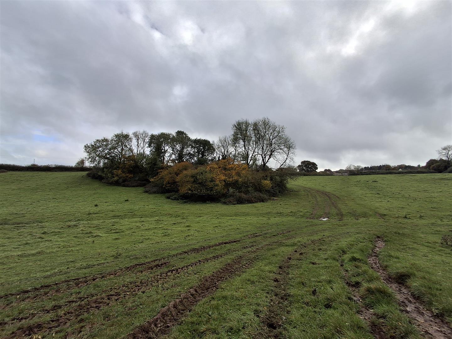 Property Image abfee6d3-7f17-4936-b7b9-a5f8f3f3bb52
