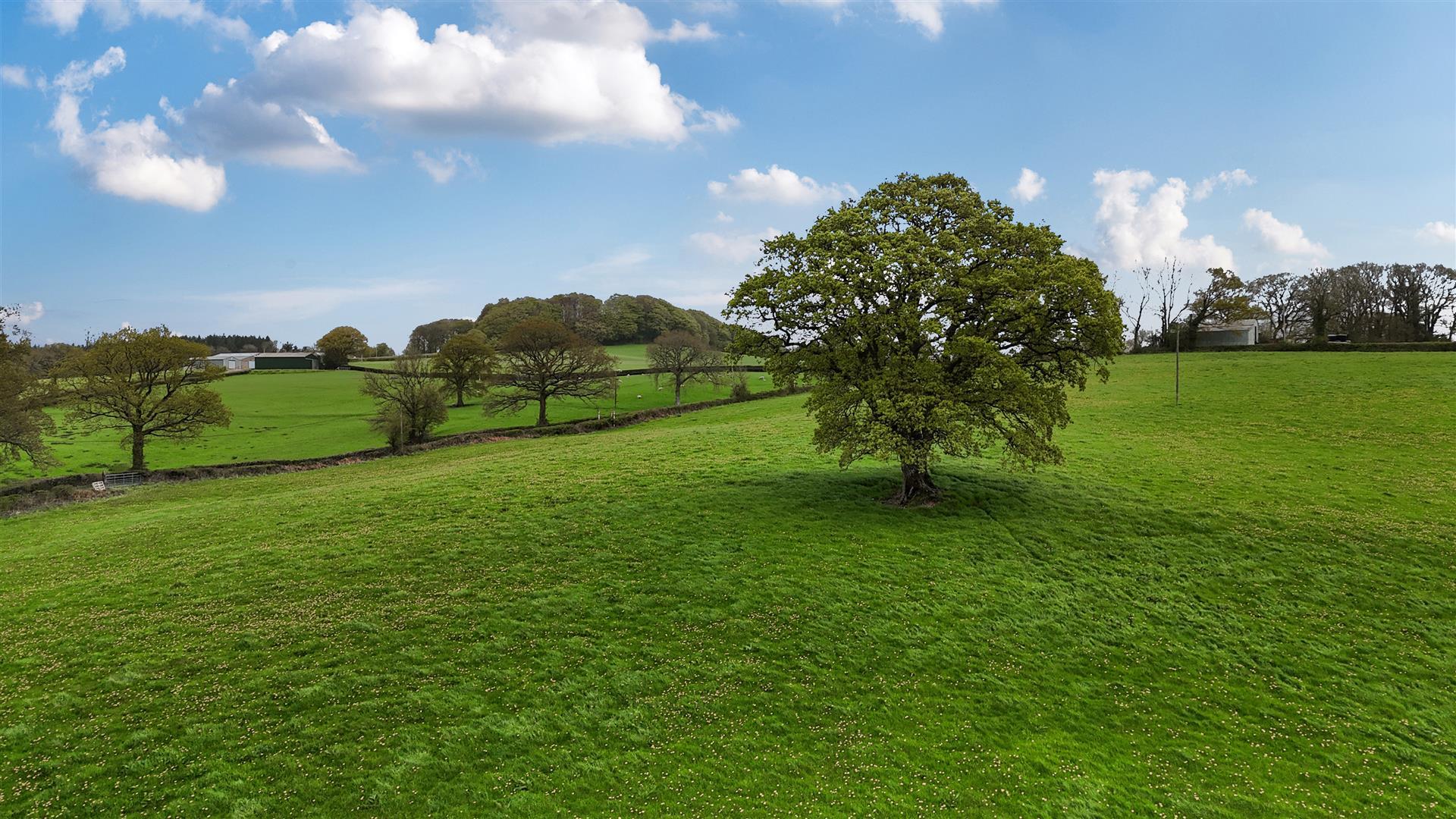 Property Image ac2b1b03-9c4d-46a9-8f8d-3e47fab62a77
