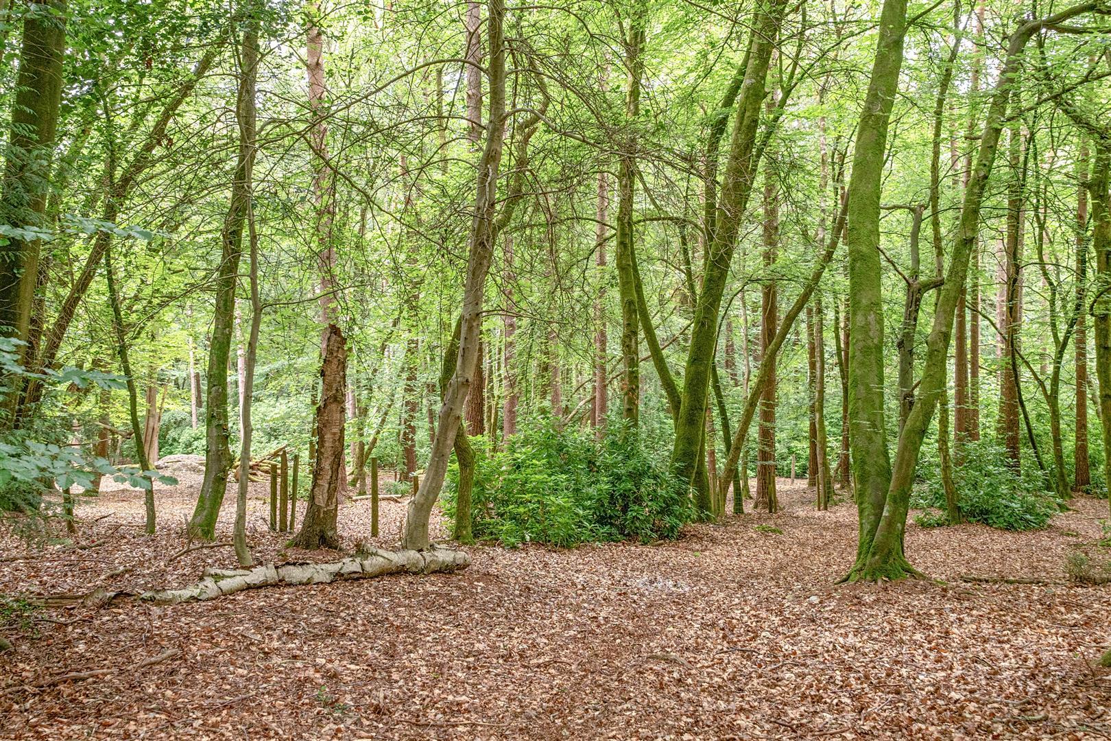 Property Image ac377130-2c8a-47dd-bc41-f2a7673e7401