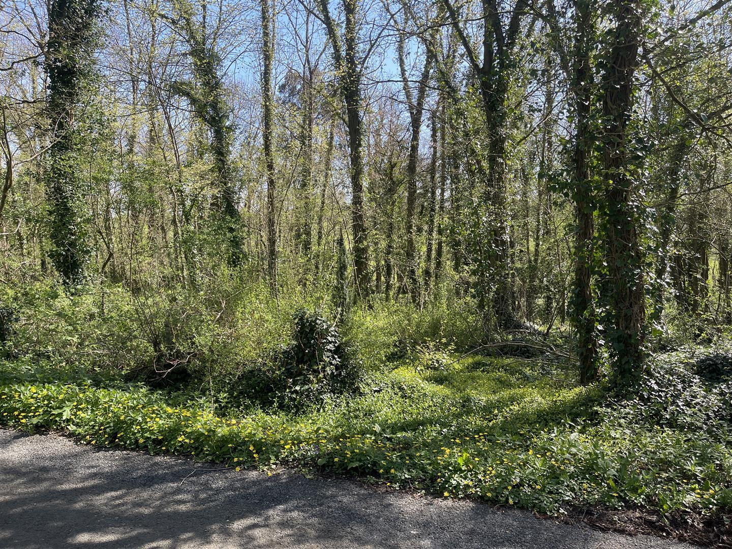 Property Image ac40511a-37b5-4ae5-8960-f7a4c391ad0e