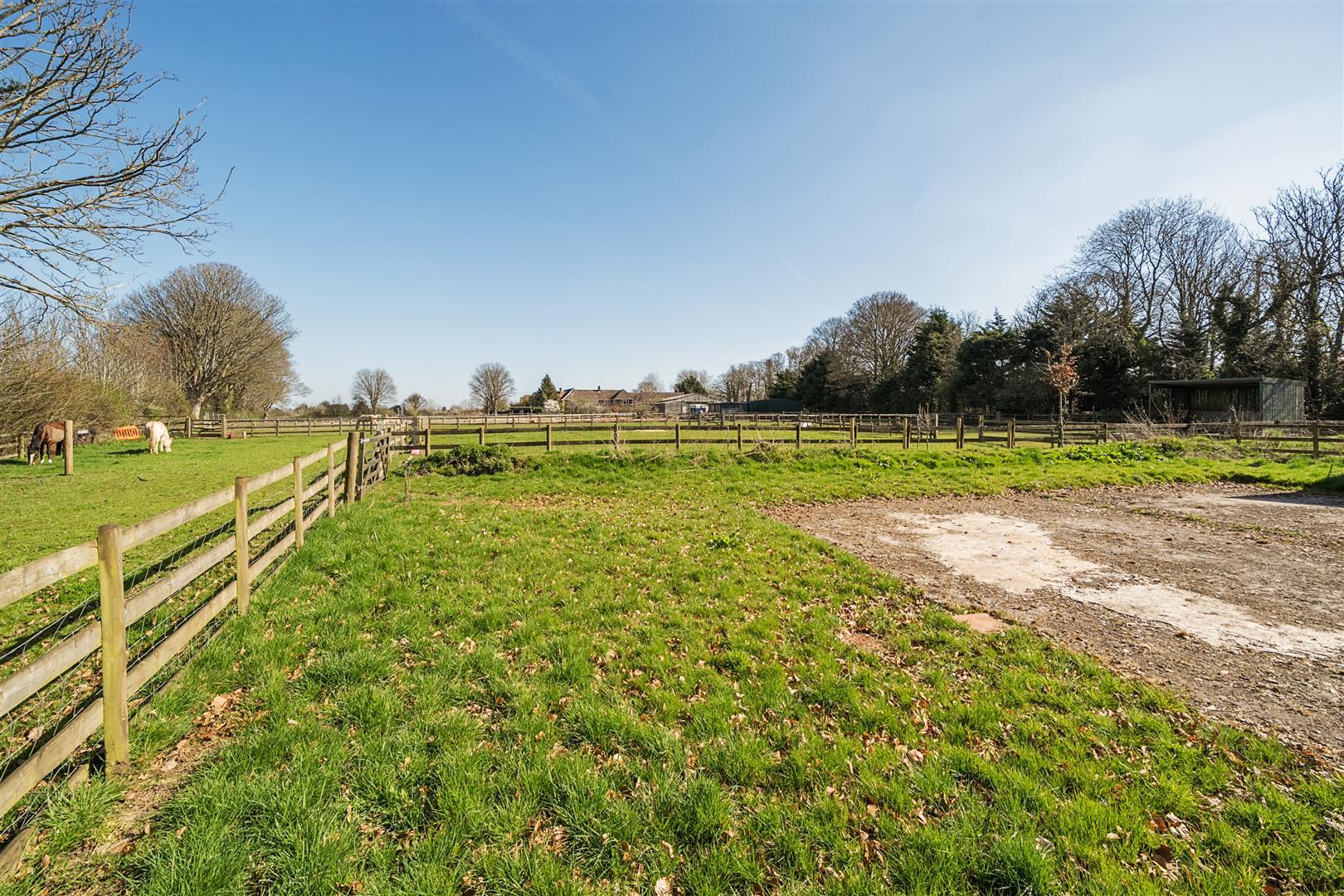 Property Image ac4f0d0c-9952-43a6-8404-6521de67cee5