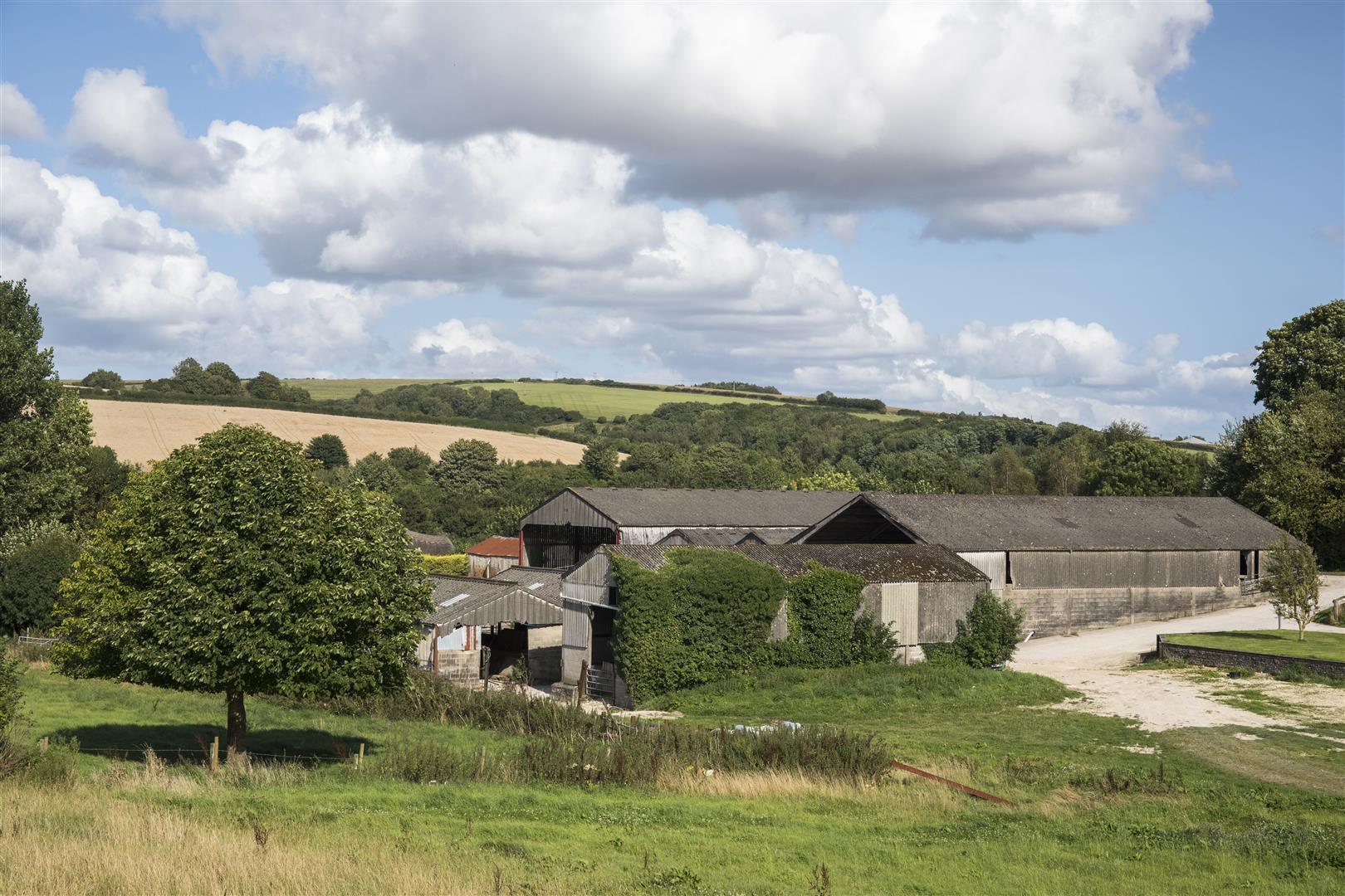Image 12
