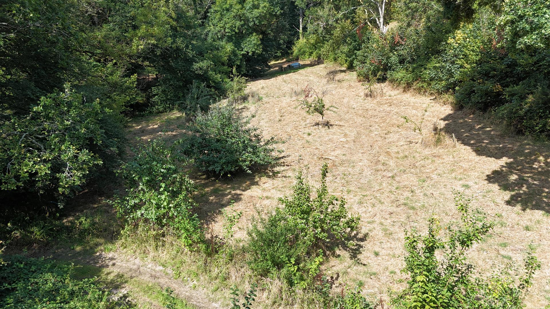 Property Image ac6746bf-7c3d-441b-aa82-b29ea7ac1430