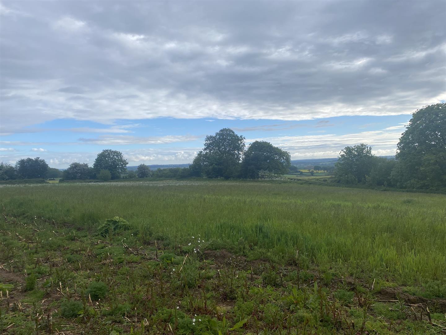 Property Image ac81ceac-f23b-4f05-9875-93b20ad09632