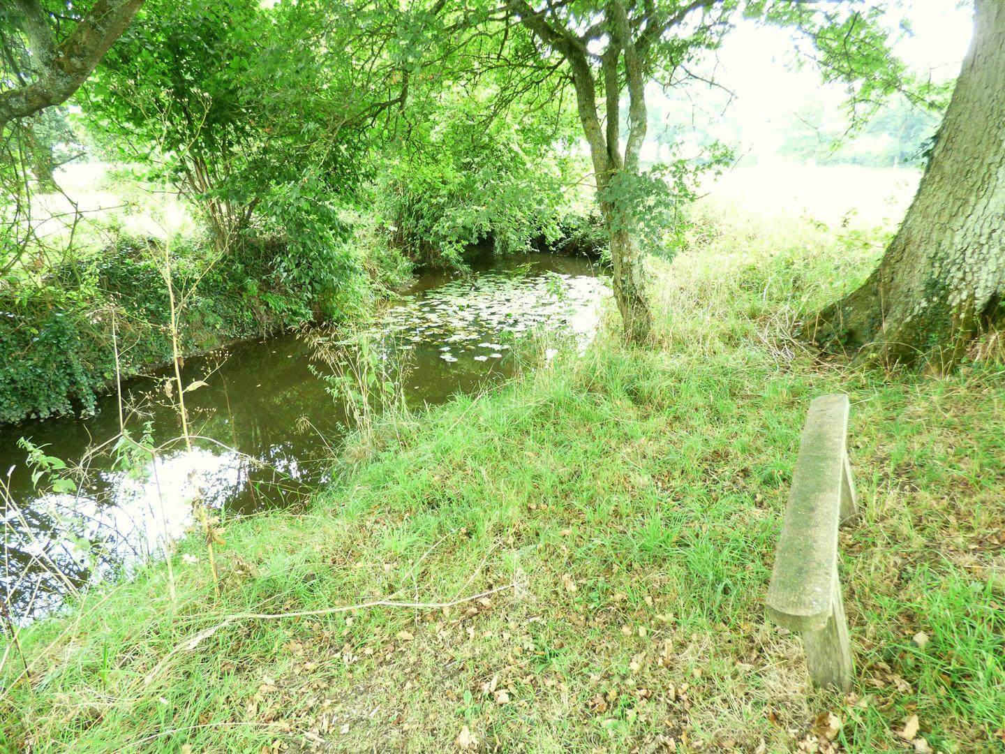 Image 16