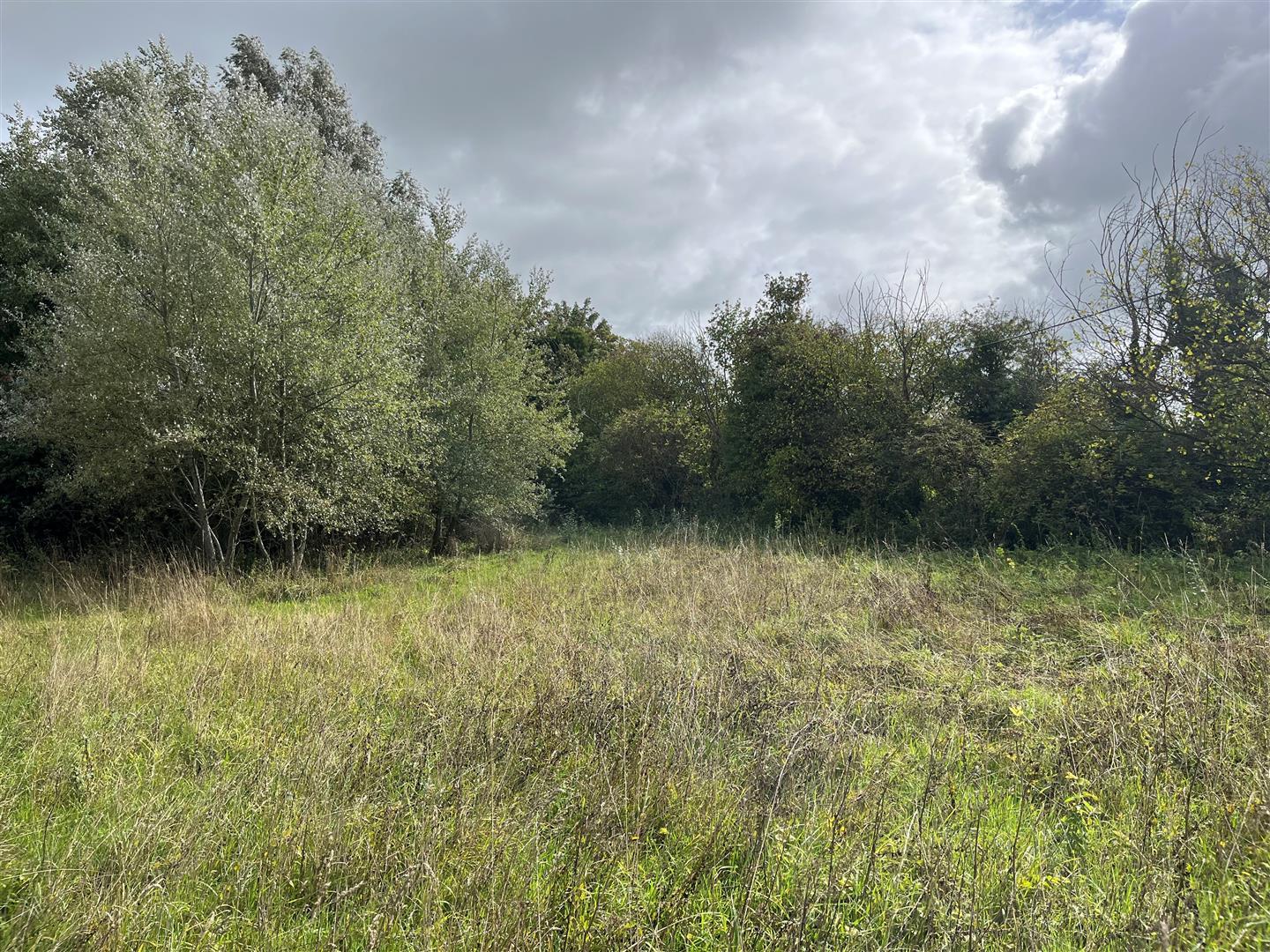 Property Image ad4dc916-dd07-4e37-9a7d-acdd00e410ff