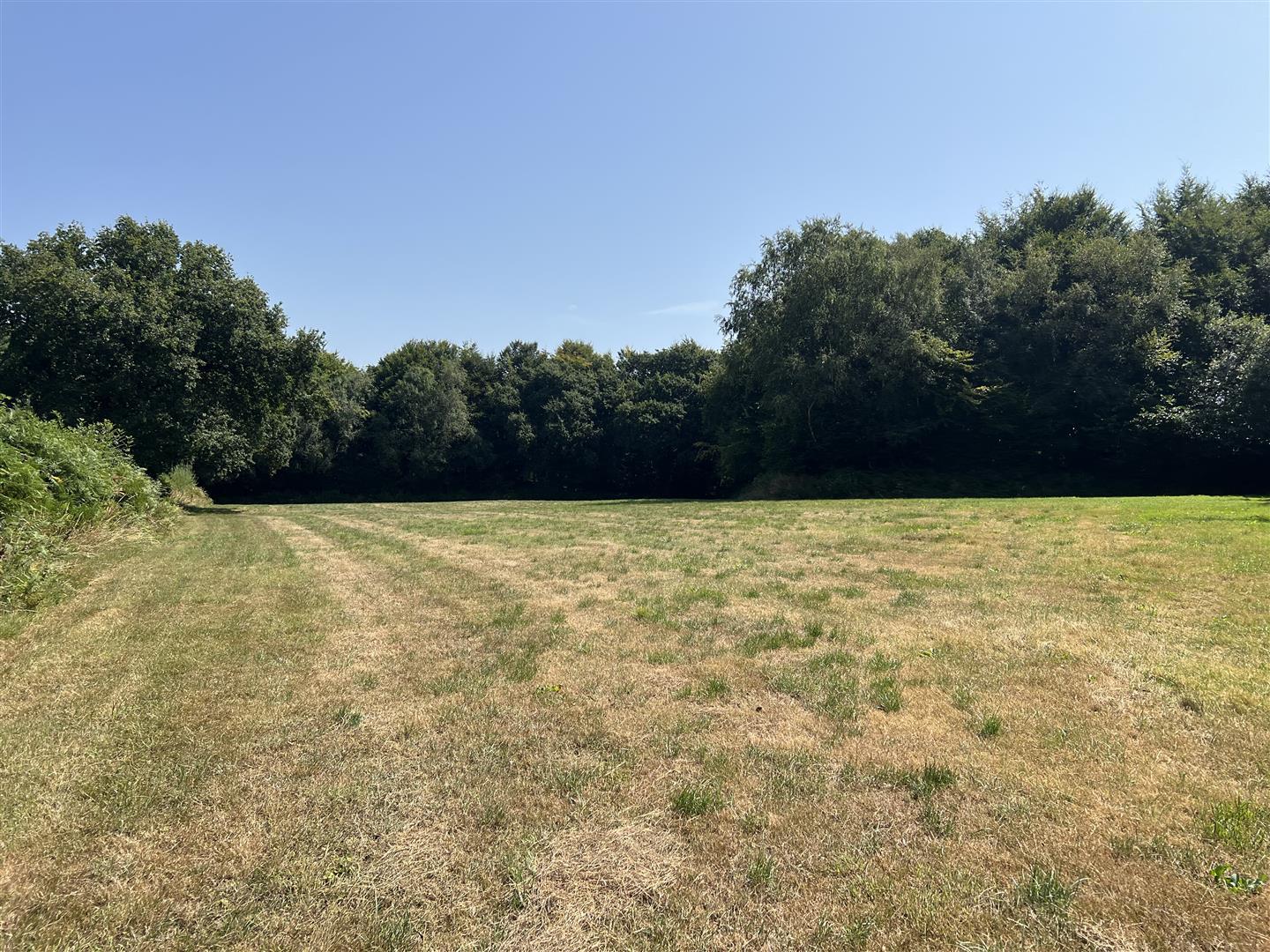 Property Image ad7fd92a-b2ac-4c57-826b-19c8f3596f62