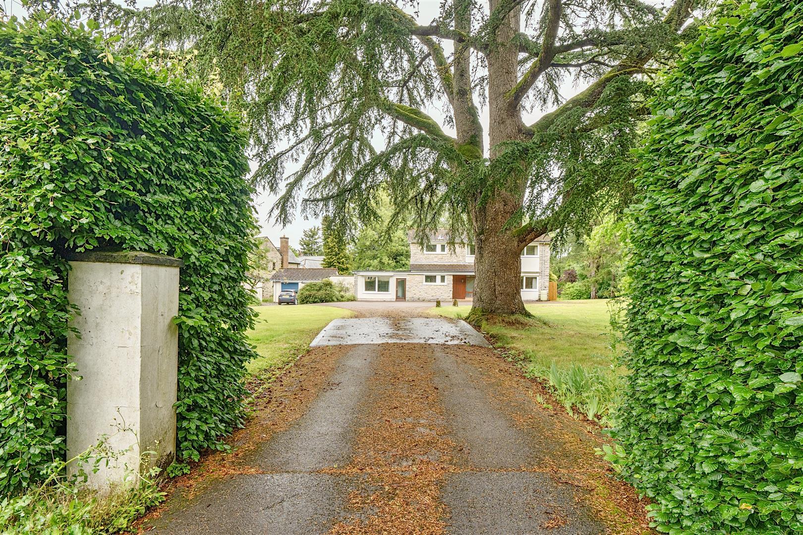Property Image ad98de9e-5c37-4d21-a260-47e47ce69308