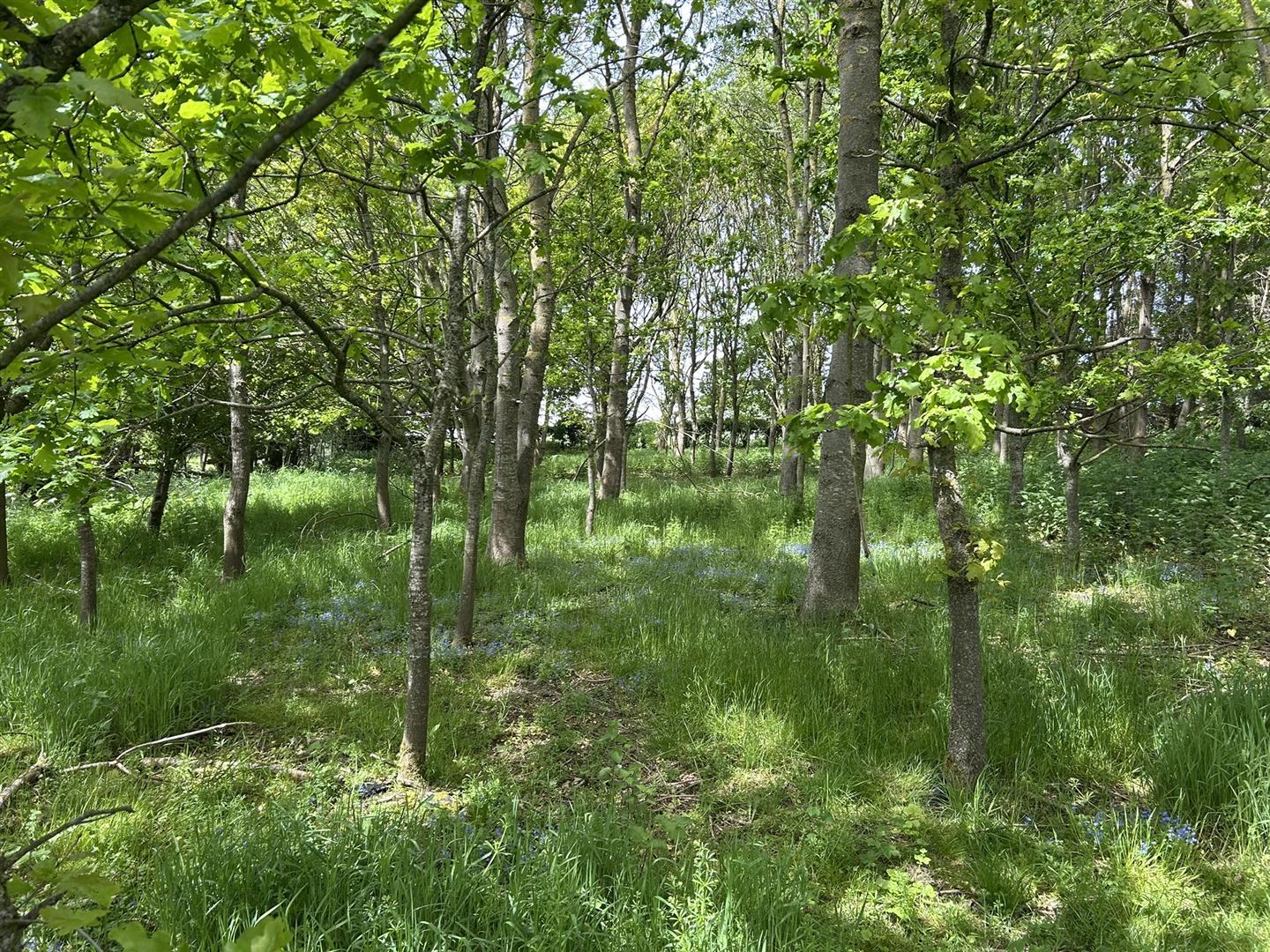 Property Image ad9c55c4-5e76-4144-86b7-0b95db960168