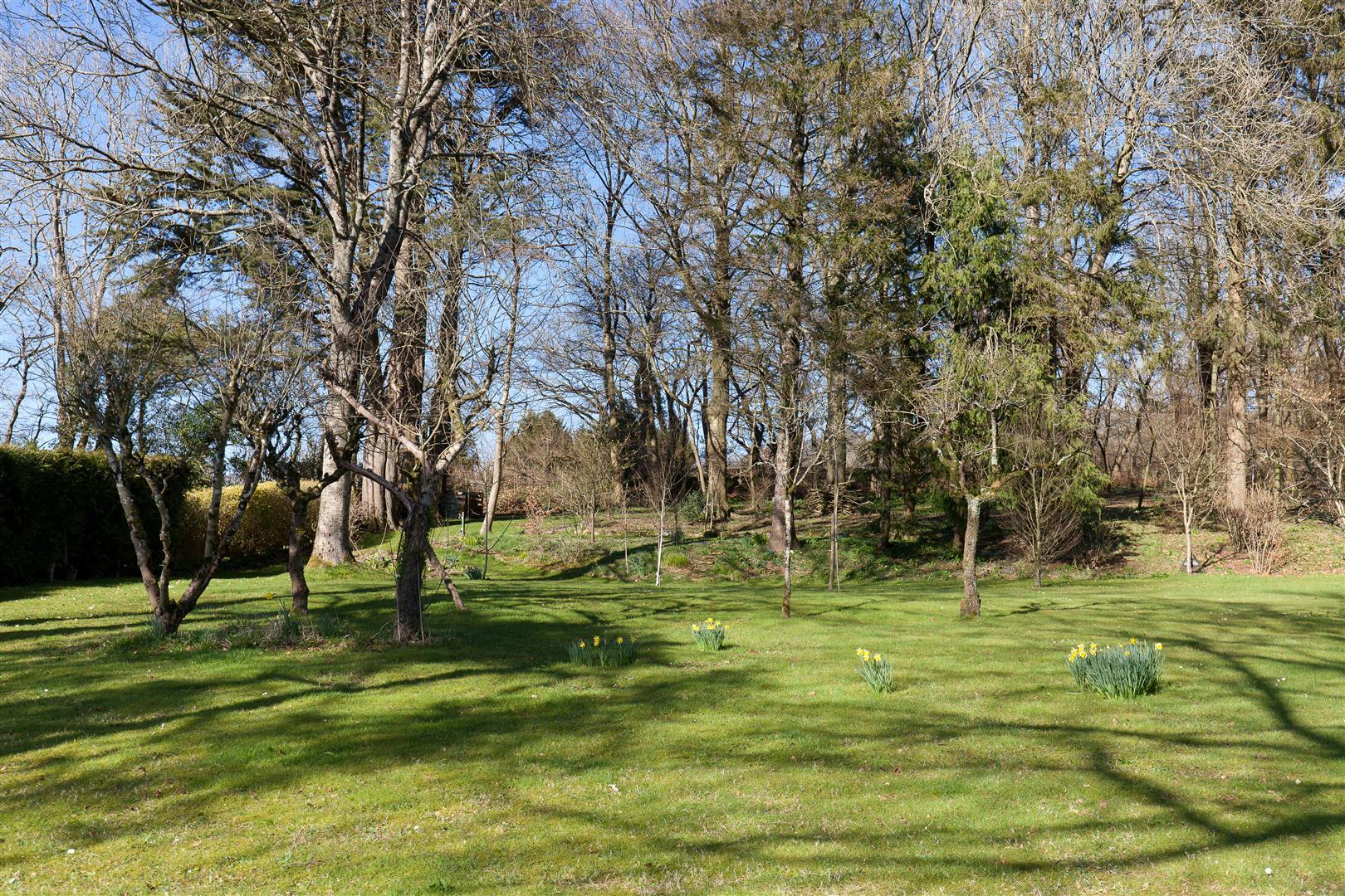 Property Image adcfcf8d-af14-49db-8d2c-e849caaed753