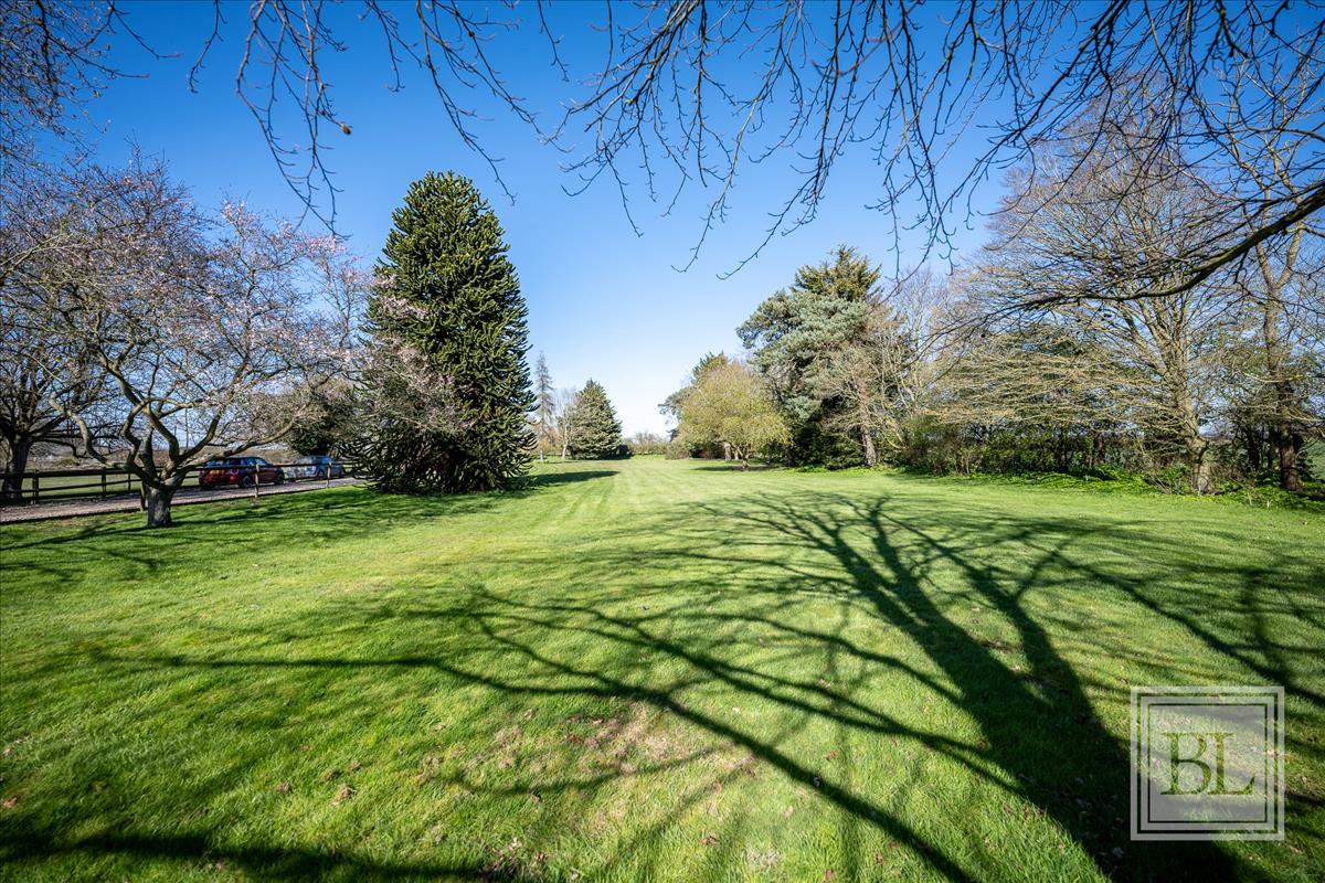 Property Image ade63e0b-ccbf-41fe-8872-a9a9276e8baf