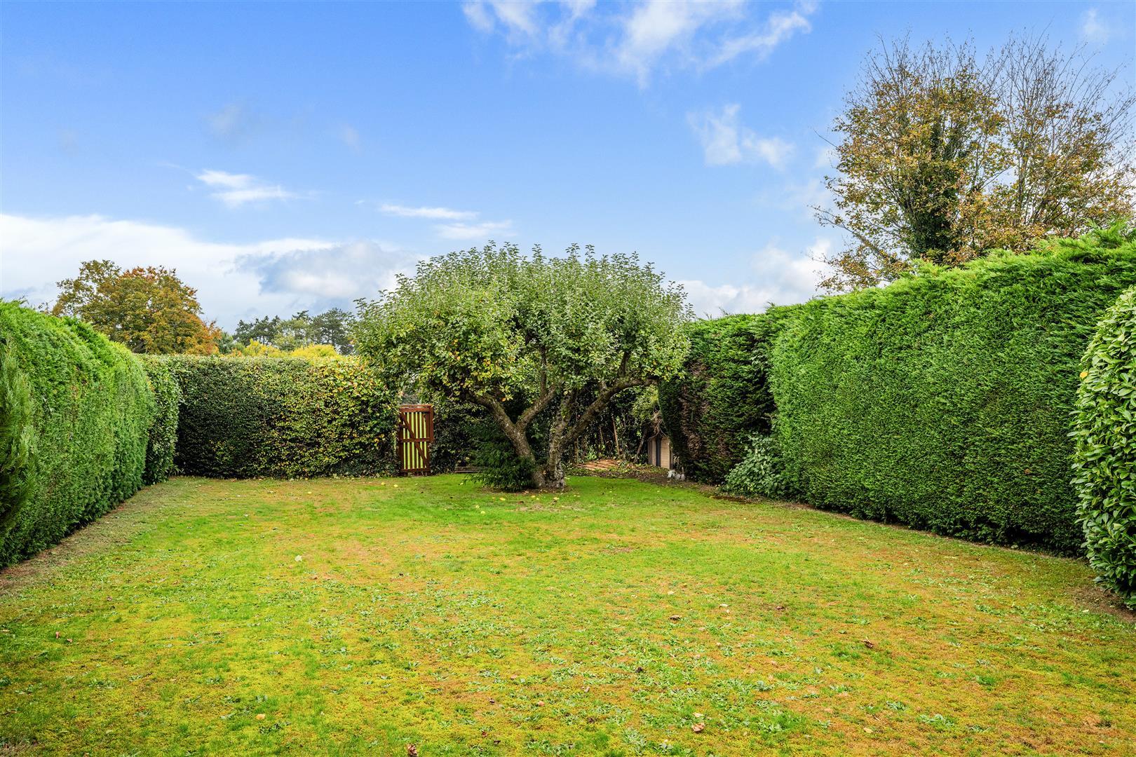Property Image ae4ffc9d-62a4-48be-8edd-840f5ba31274