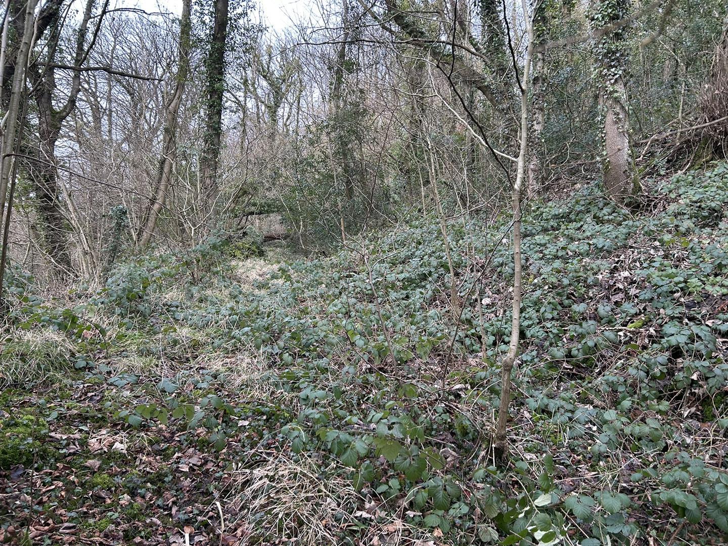 Property Image ae7be106-0c5a-49cd-959e-980fa656f92b