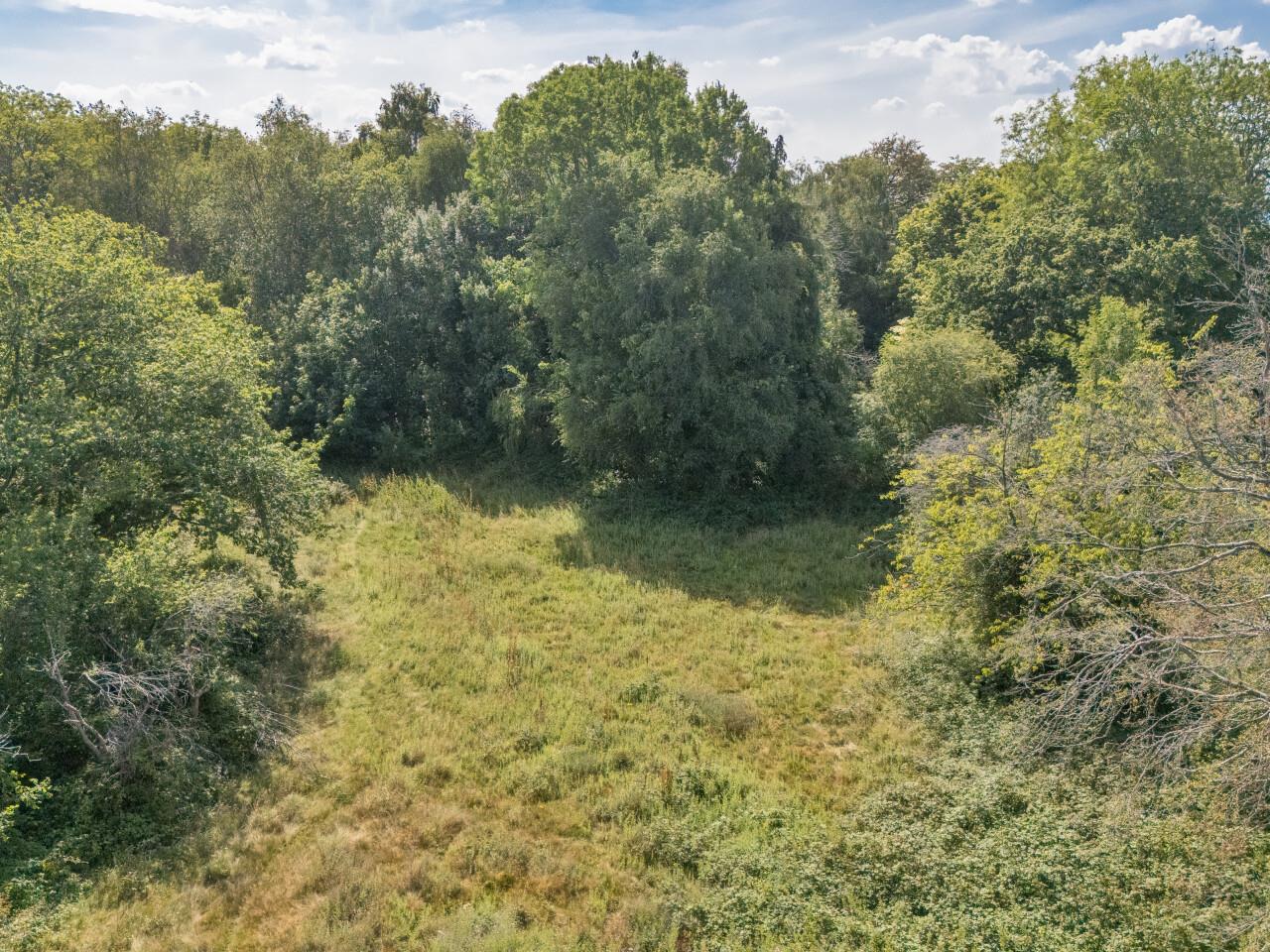 Property Image ae8422c7-6c26-4b11-a3ea-58369d43d1c3