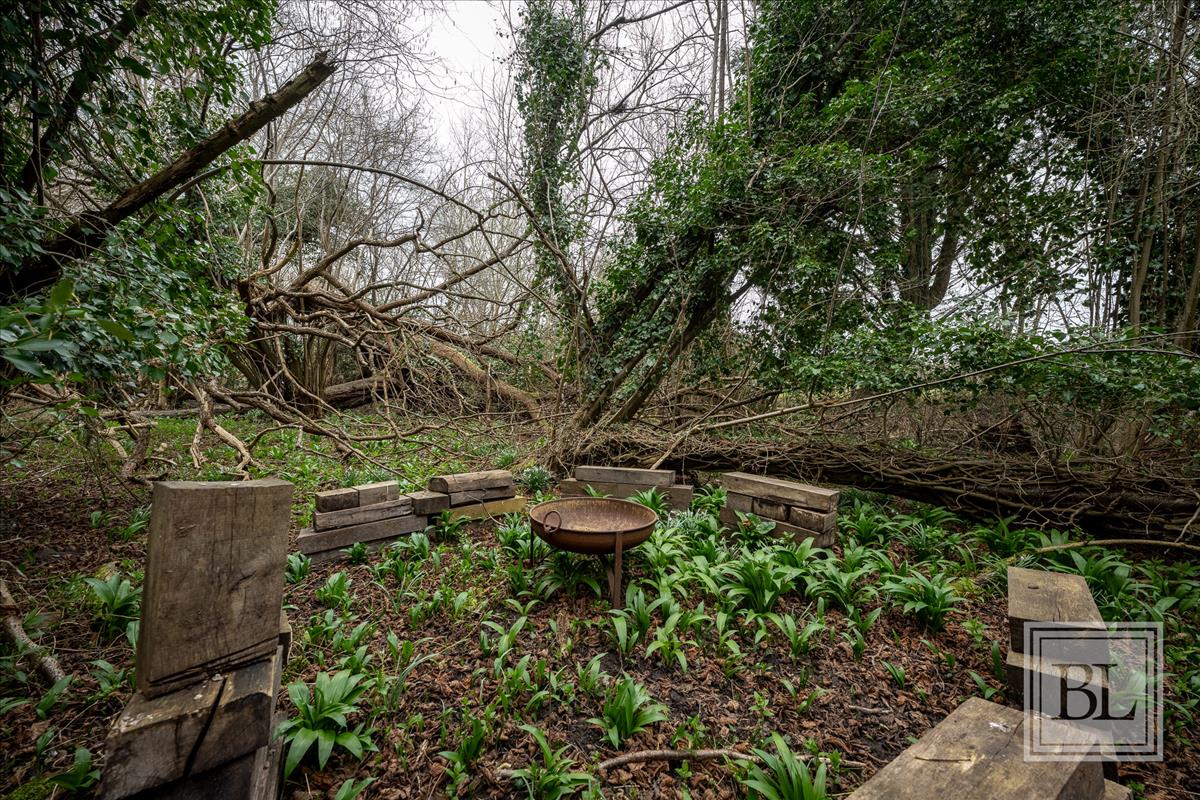 Property Image ae9e8c1d-7a7f-4f92-81a7-d7cd7ba66e65