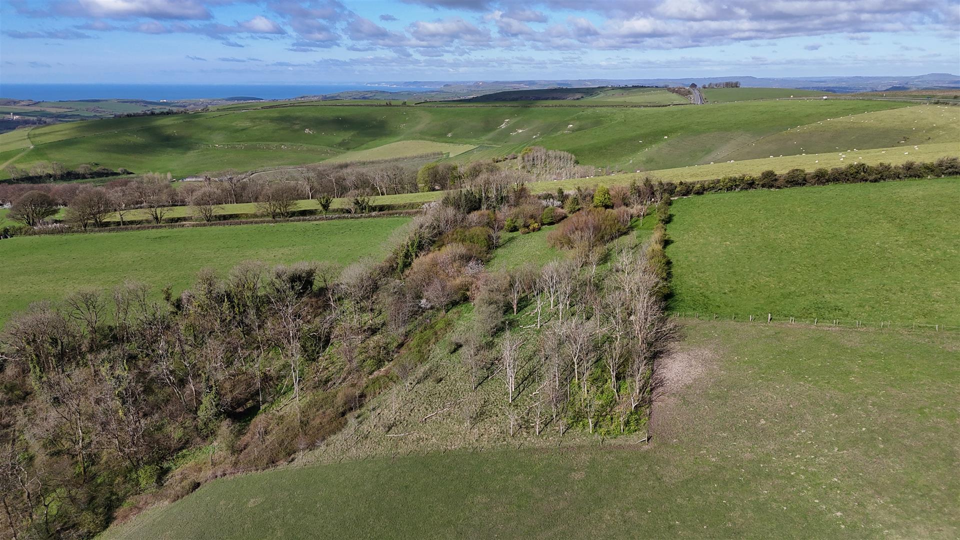 Property Image aebcbd94-dcdd-48d7-9700-24b85b158d3d