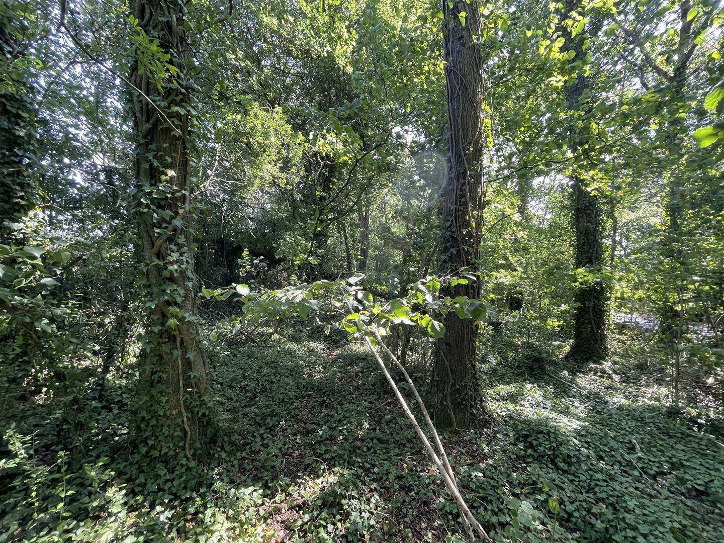 Property Image aecd0a0e-6e70-45be-93df-ce8eae8f55e9