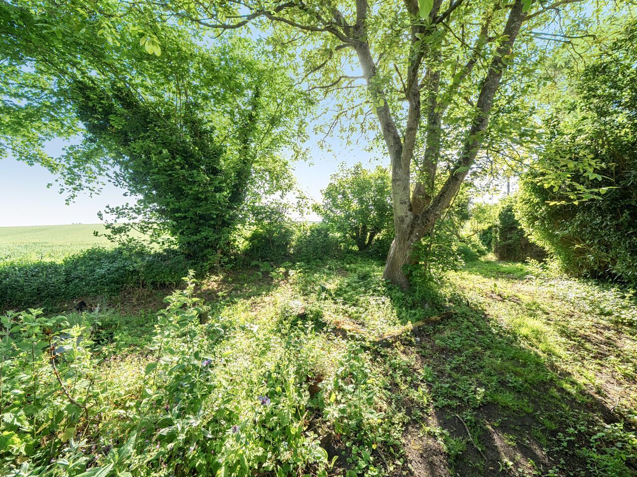 Property Image aedd9799-4c7f-458b-b51c-056763fec250