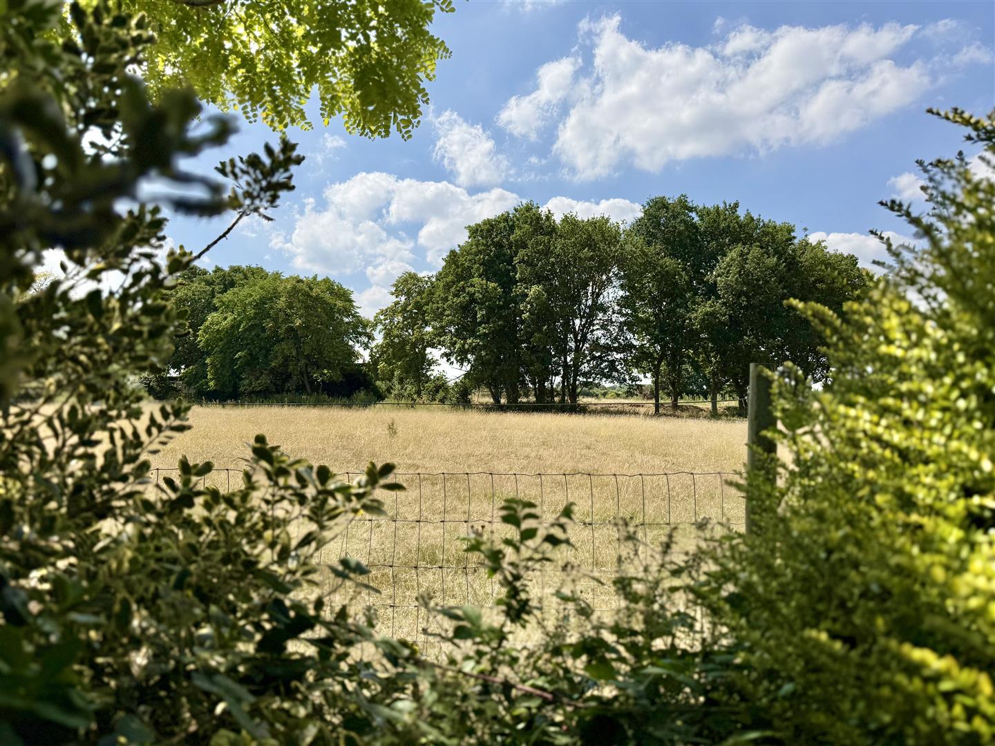 Property Image af5c2222-88b6-4085-81b8-dfd9ecf93ef9