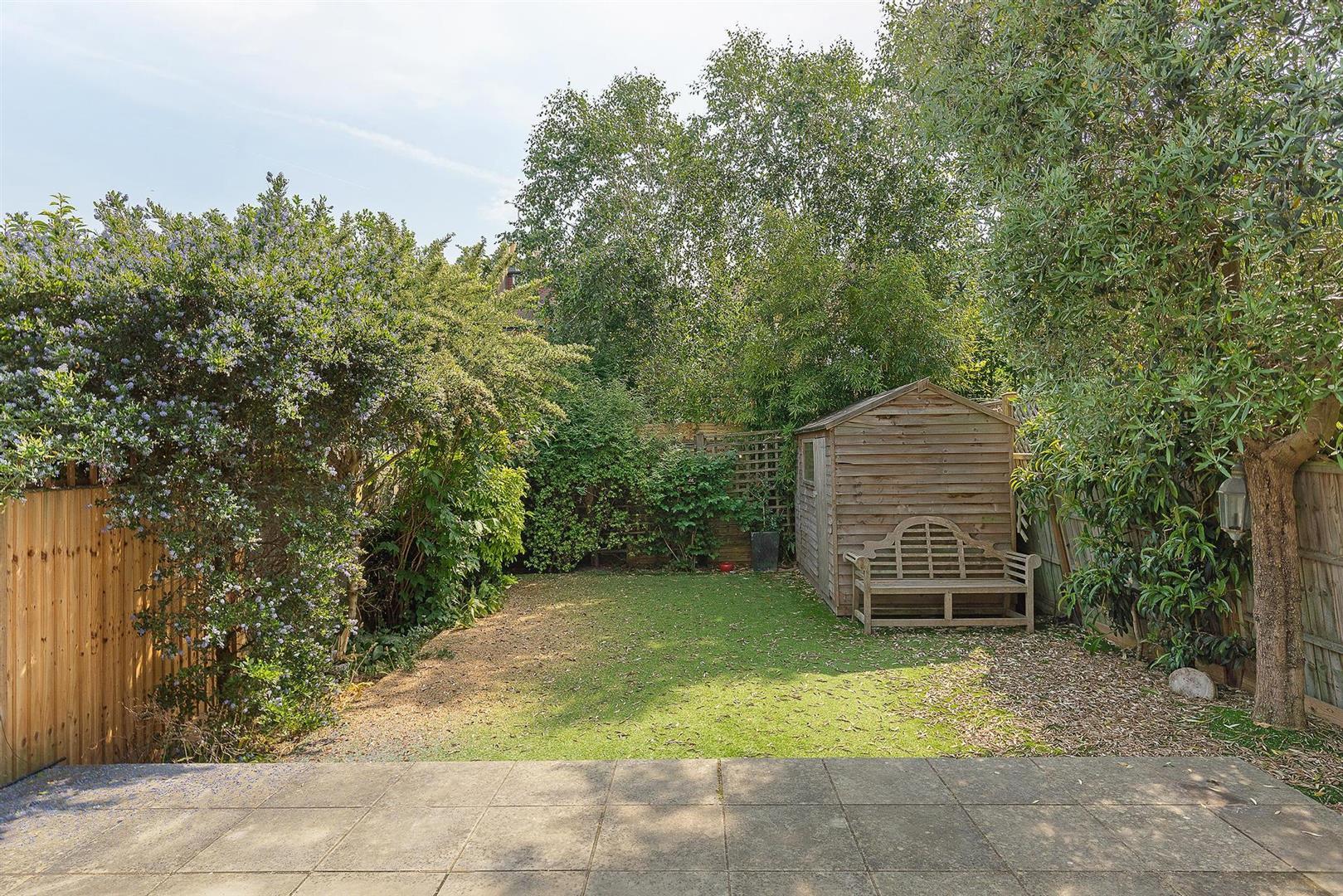Image 11