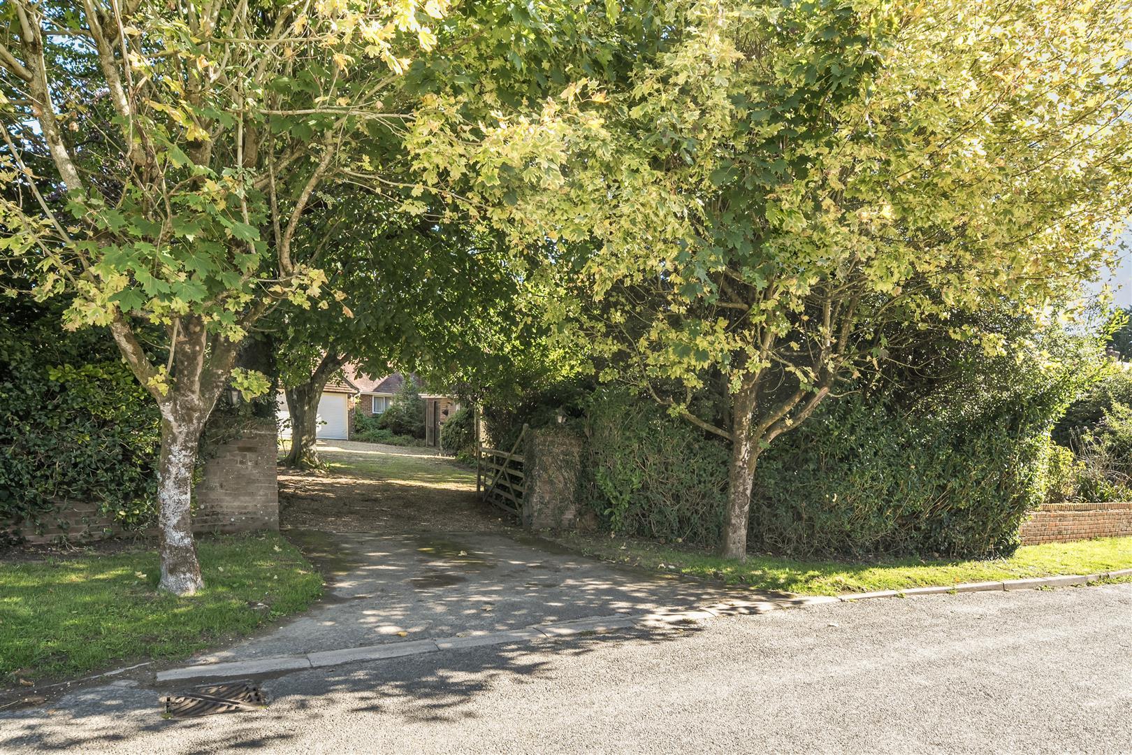 Image 13