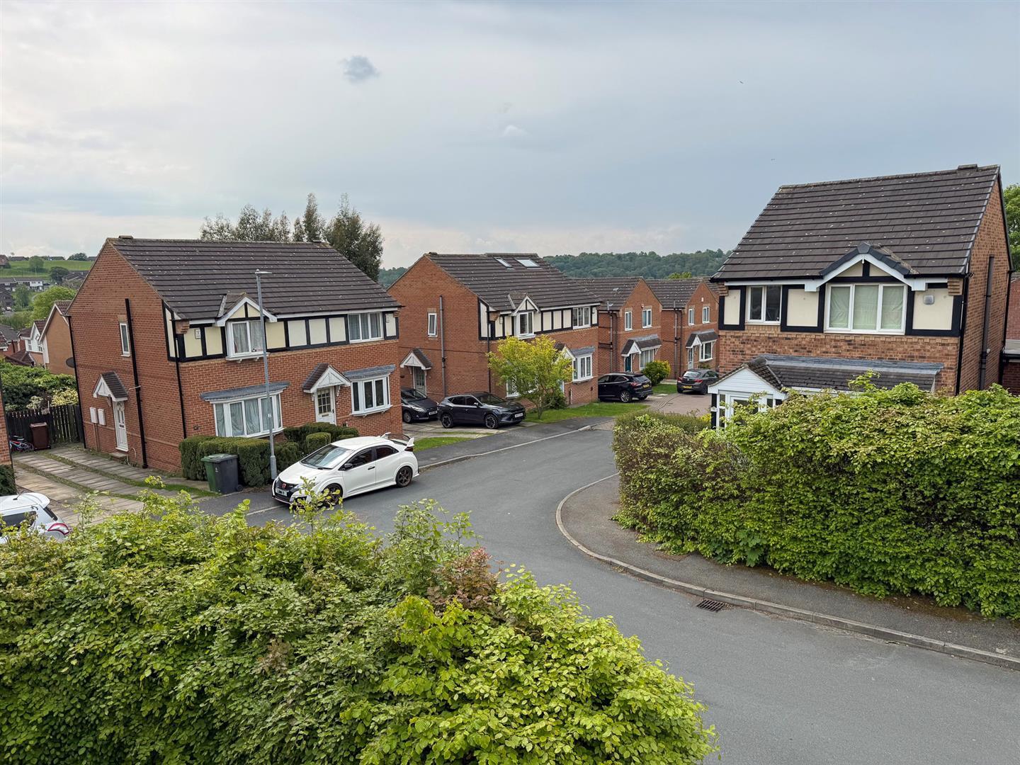 Image 15