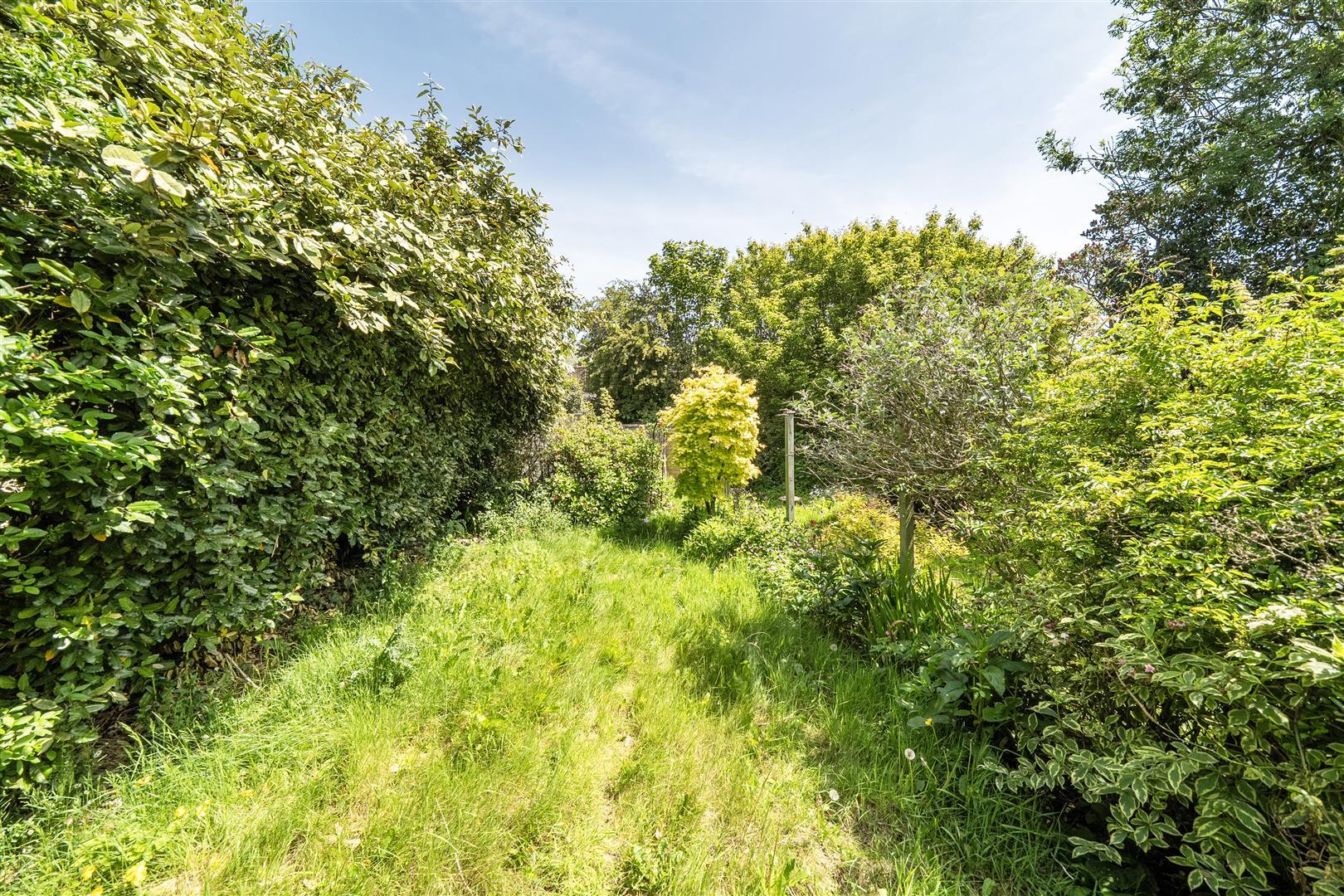 Property Image b02ac008-703e-4103-aa29-aba40268c3b4