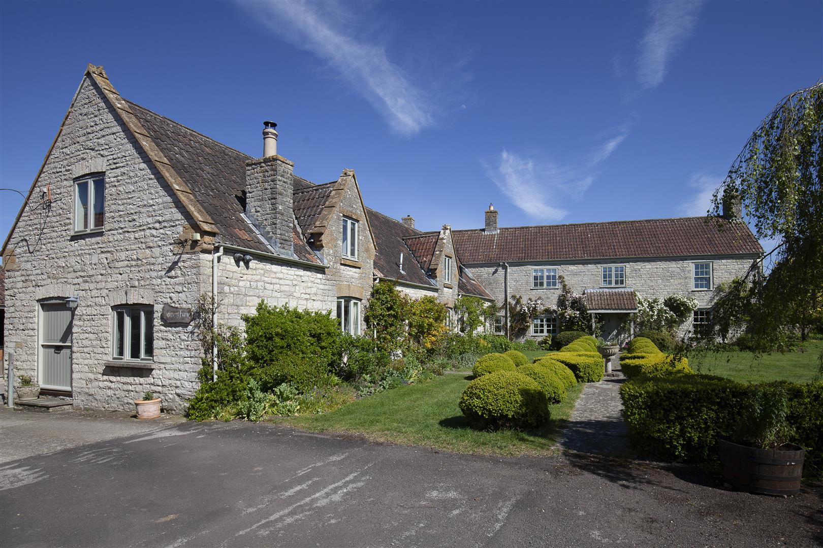 Image 19