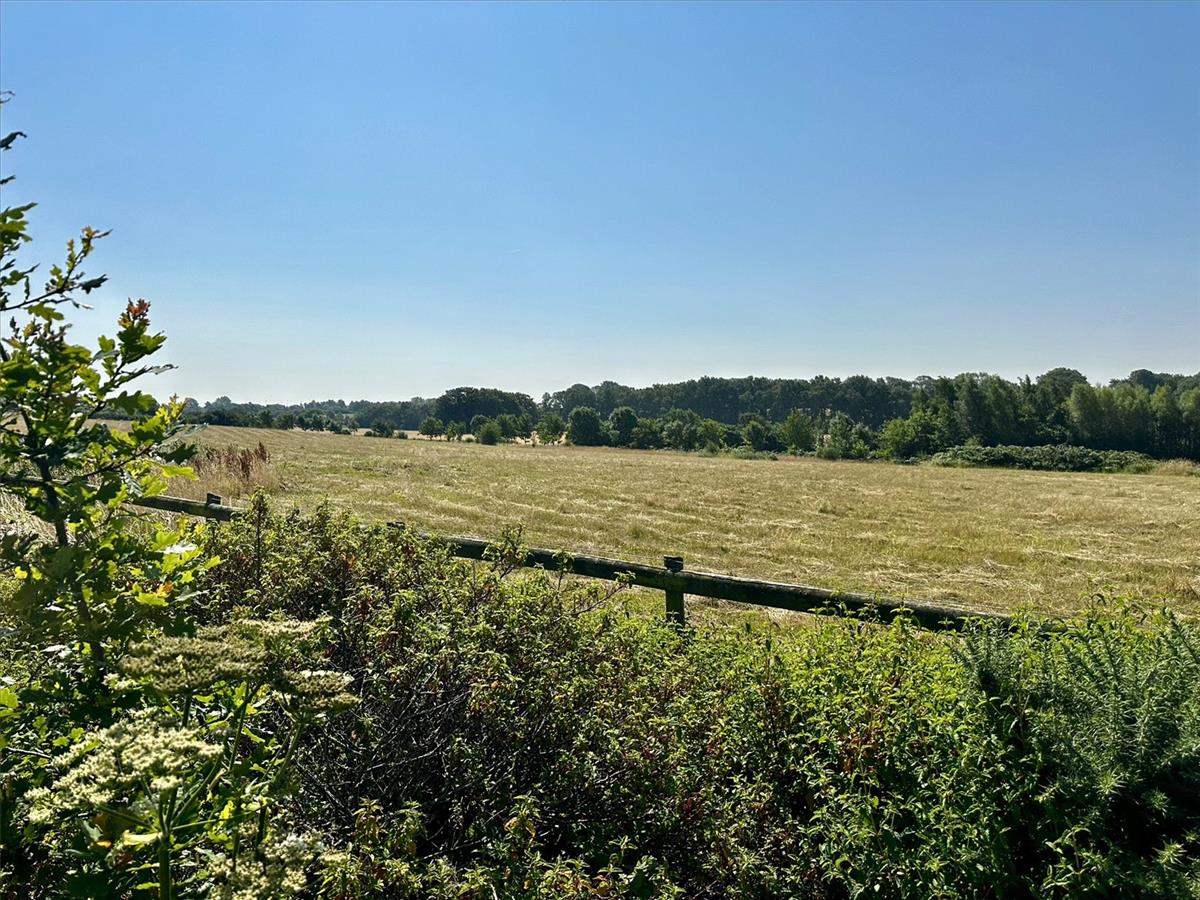 Property Image b0711a8a-d391-485c-bc7c-74dcb9897b1b
