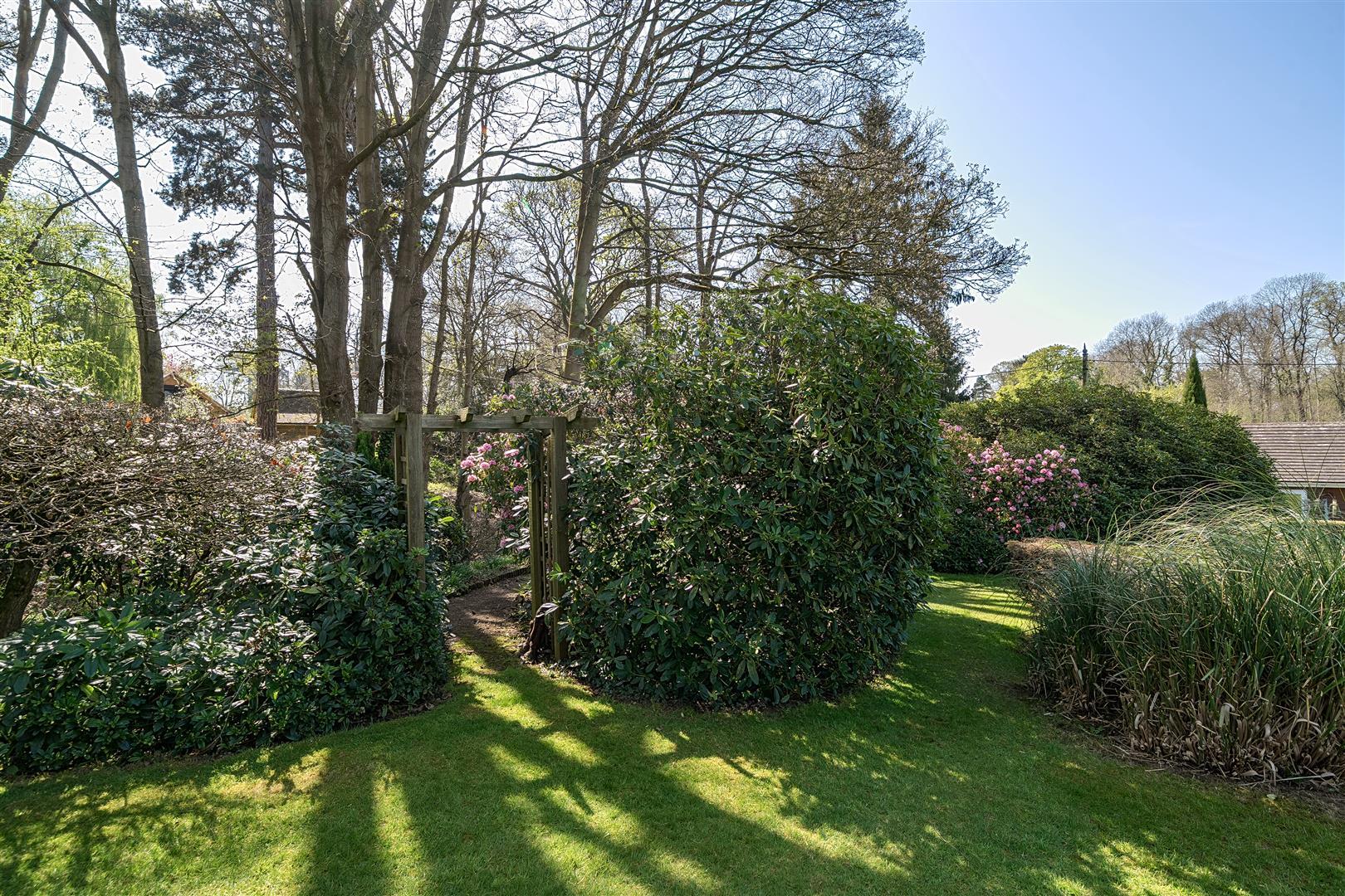 Property Image b08b0b74-438f-468c-9966-2590b3eef7d7