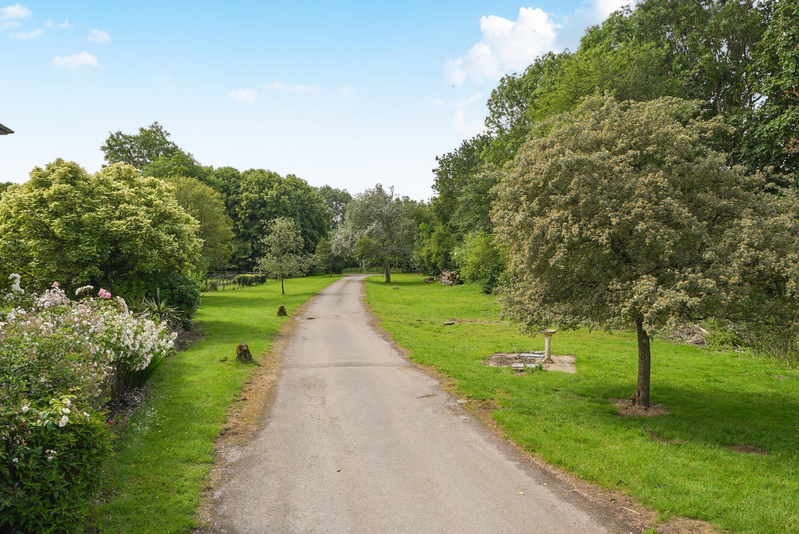 Property Image b09ad907-e999-4401-bab8-6bd710532070