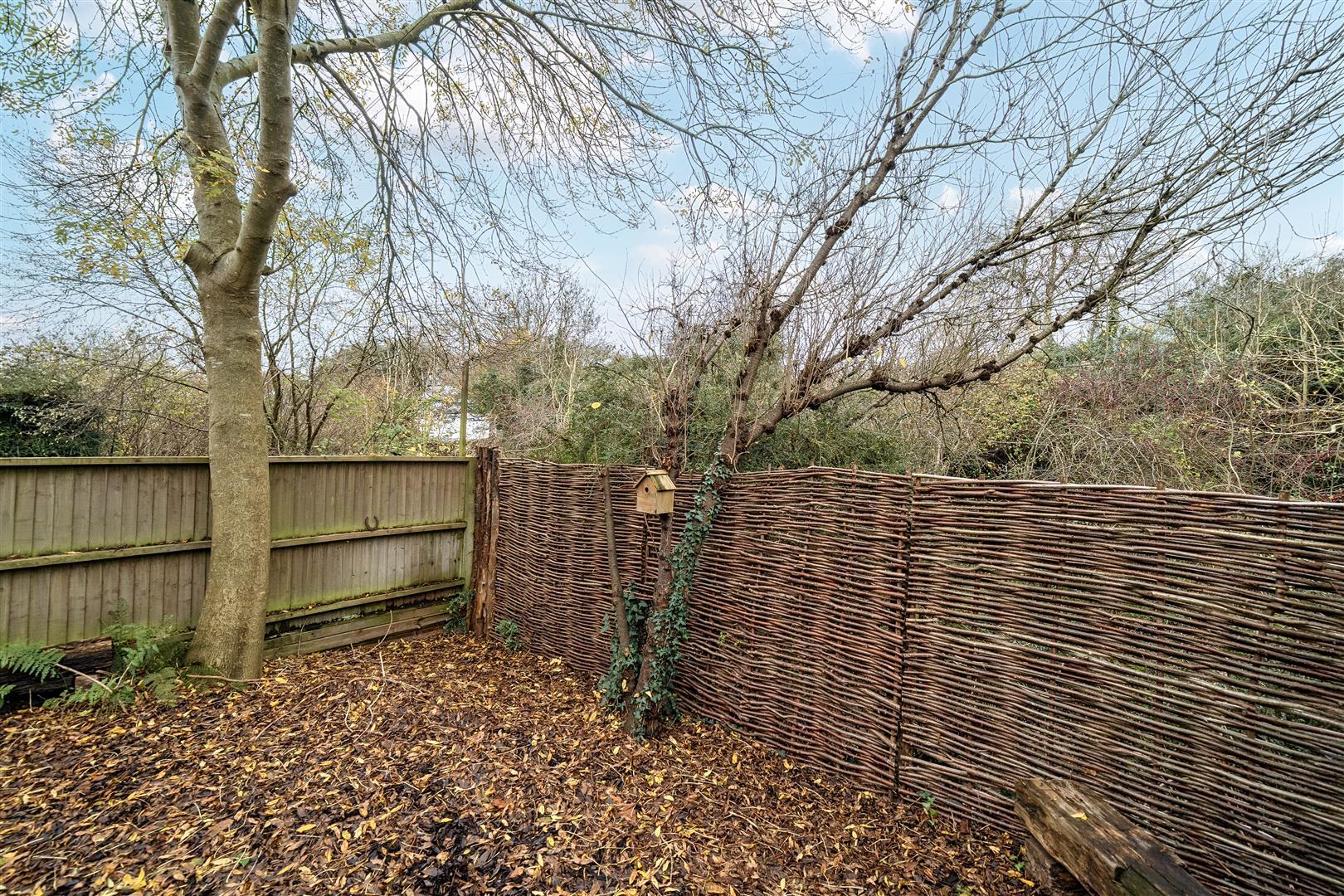 Property Image b0ee9ad5-bdb6-4901-998f-b270d8604686