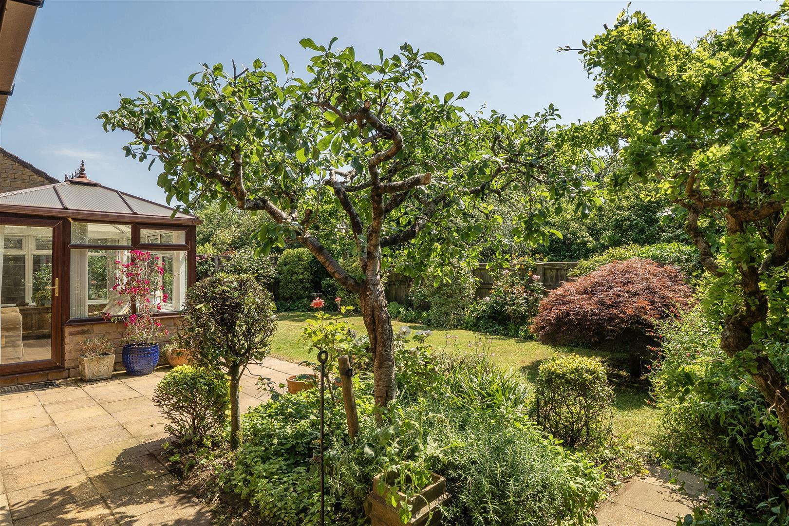 Property Image b11c0bab-97d4-4ea4-8970-aa40b794396d
