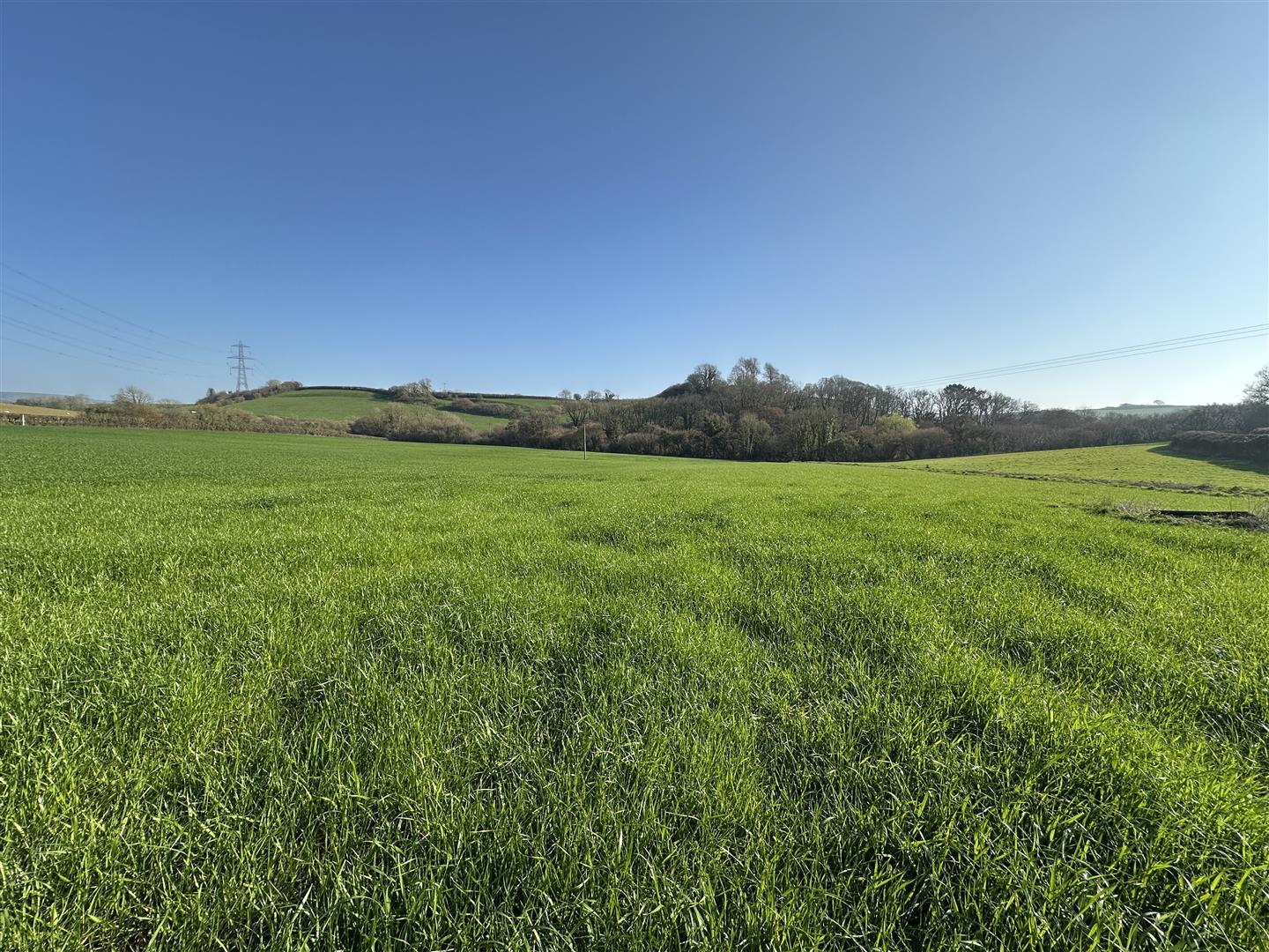 Property Image b13103c8-6d09-4347-bb04-d013c4cf7ab9