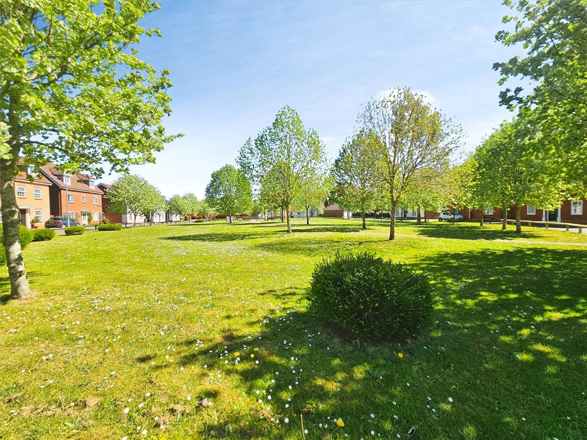 Property Image b180a959-23a0-490e-b80d-5b1a783eabc3