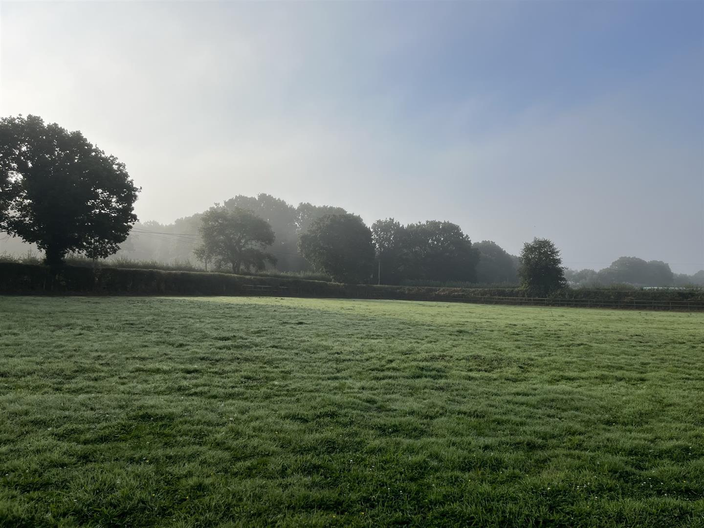 Property Image b18a4923-5999-4cb0-8f18-6f5a0828977e