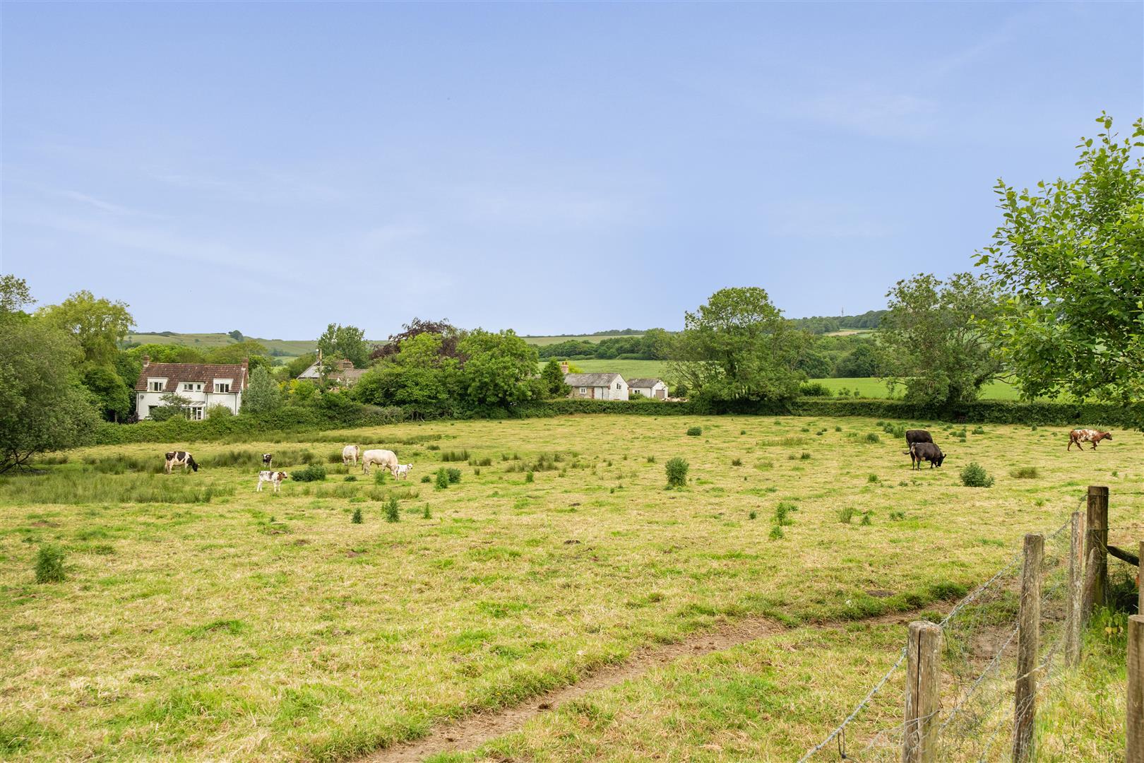 Image 27