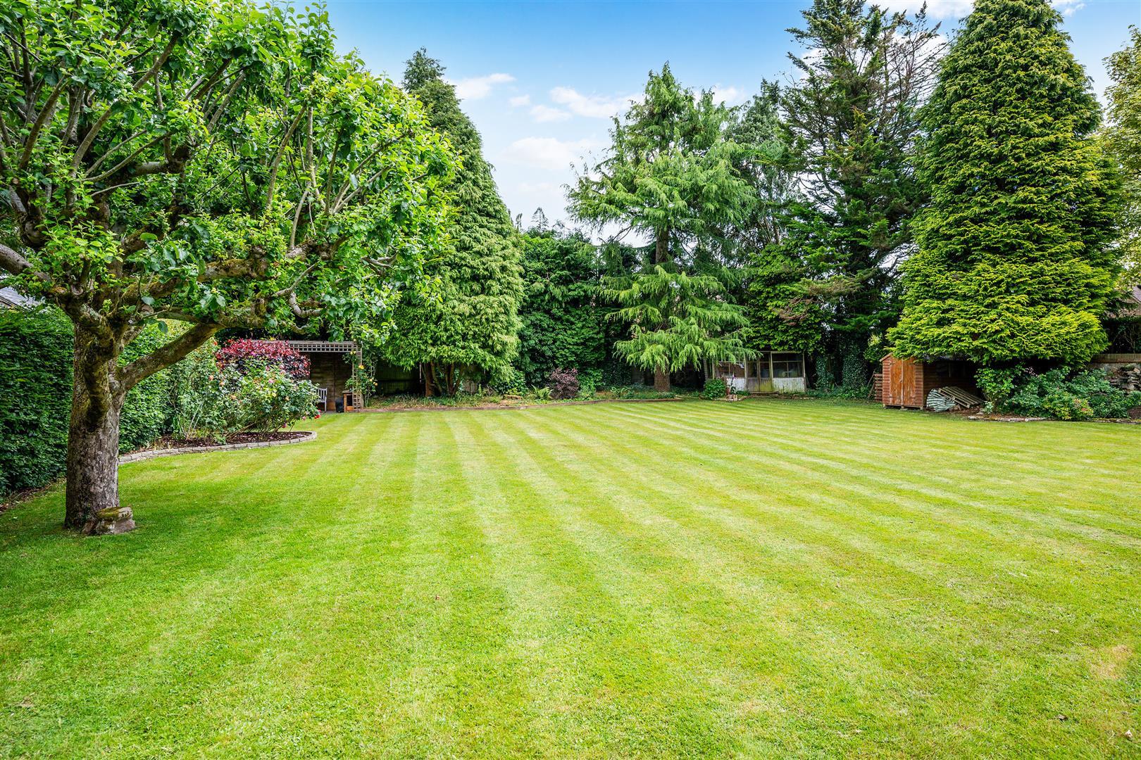 Property Image b1c3ff9d-b32c-4be5-8519-96784c42c8ed