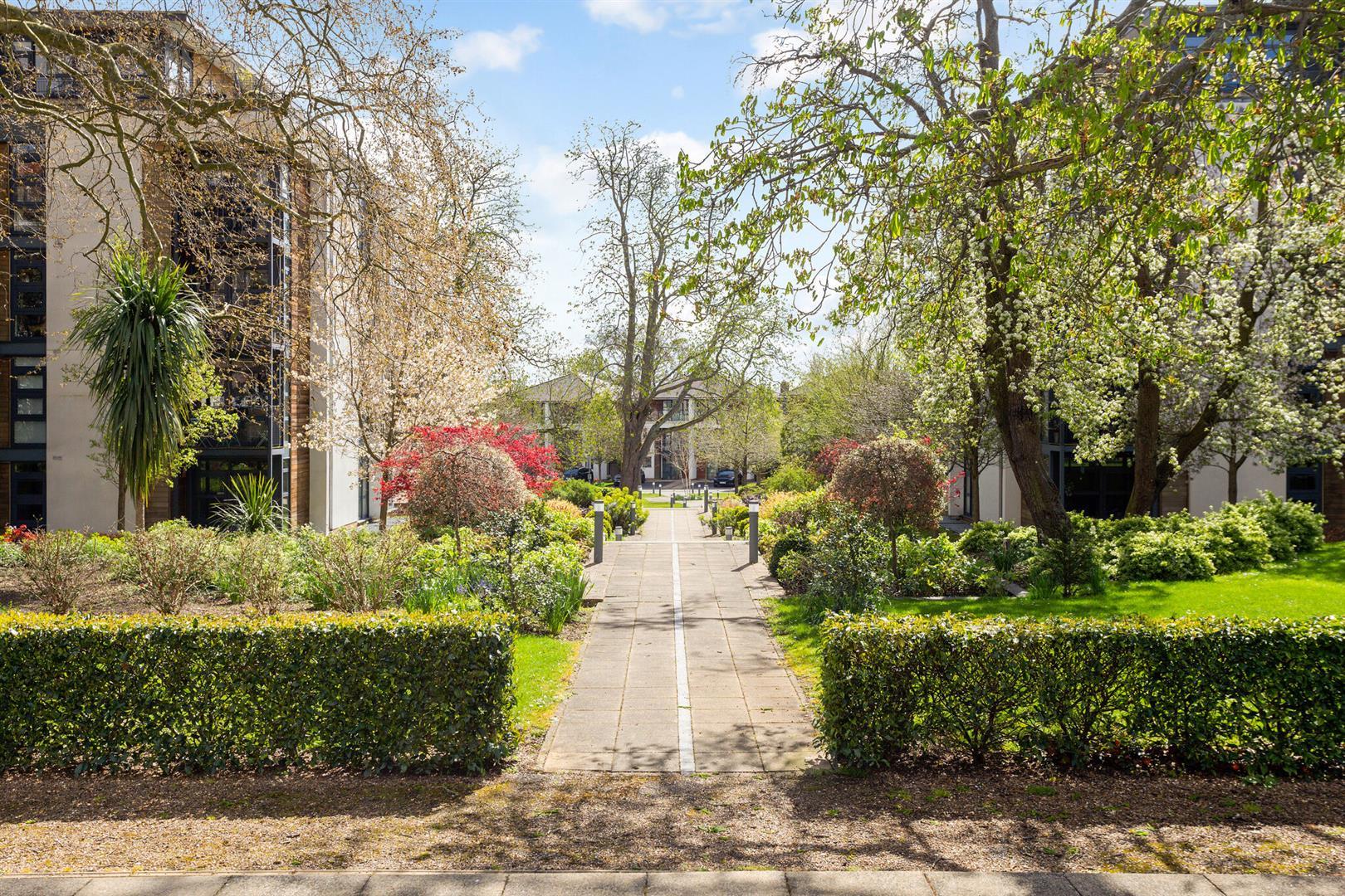 Image 29