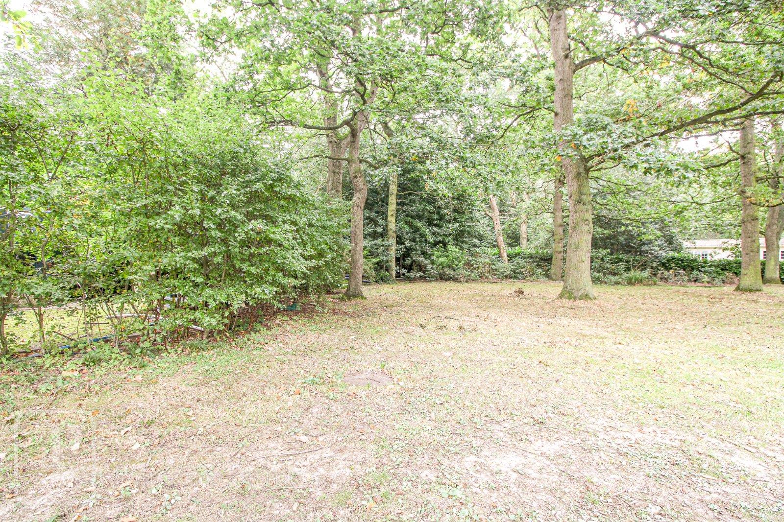 Property Image b1e2b4d3-395c-48be-b4c2-d5fdae9f67fa