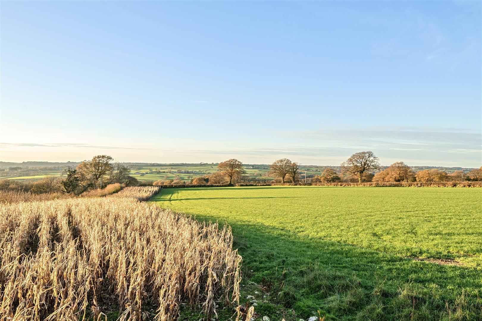 Property Image b1f2b8ff-ee03-40d1-83cf-5522f28c137c