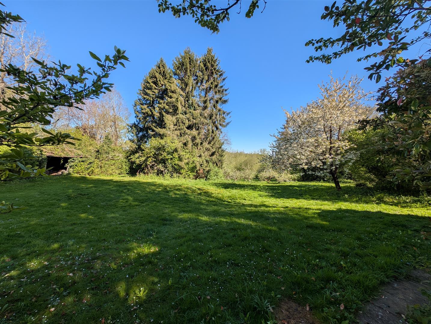 Property Image b1f99a21-0e61-4419-aea2-98919b78f14f