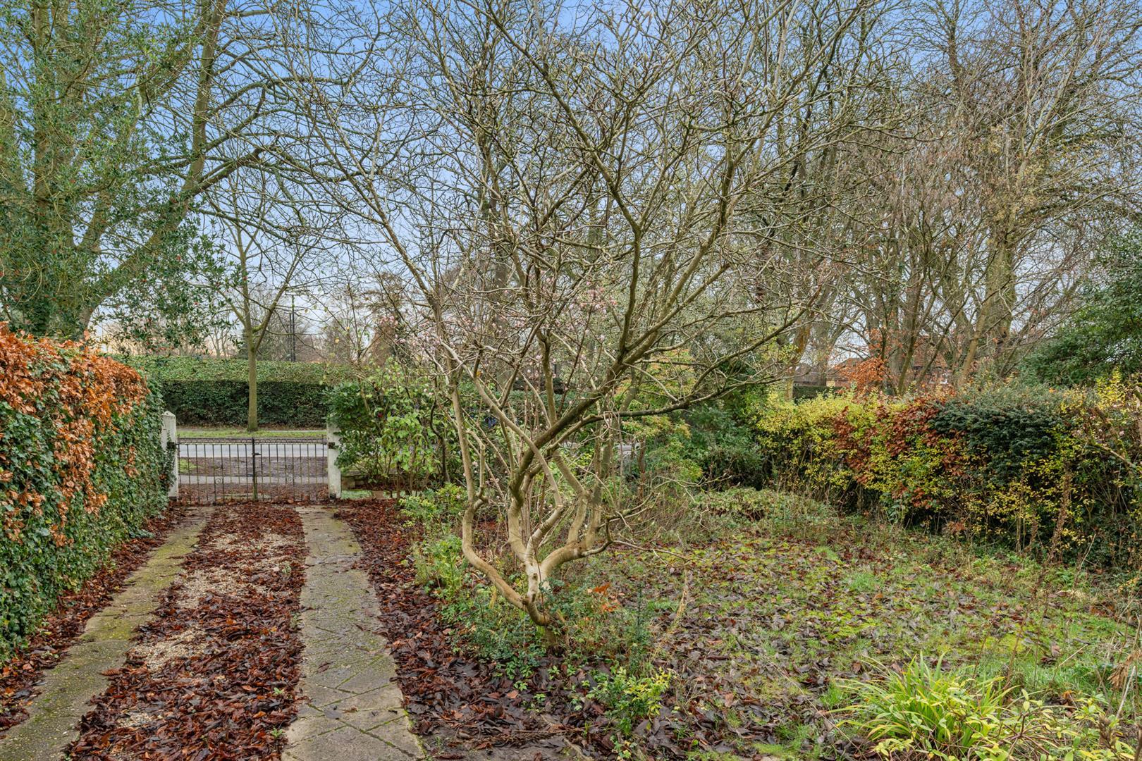 Property Image b243187b-1728-41f5-a70f-438cdb2d580c