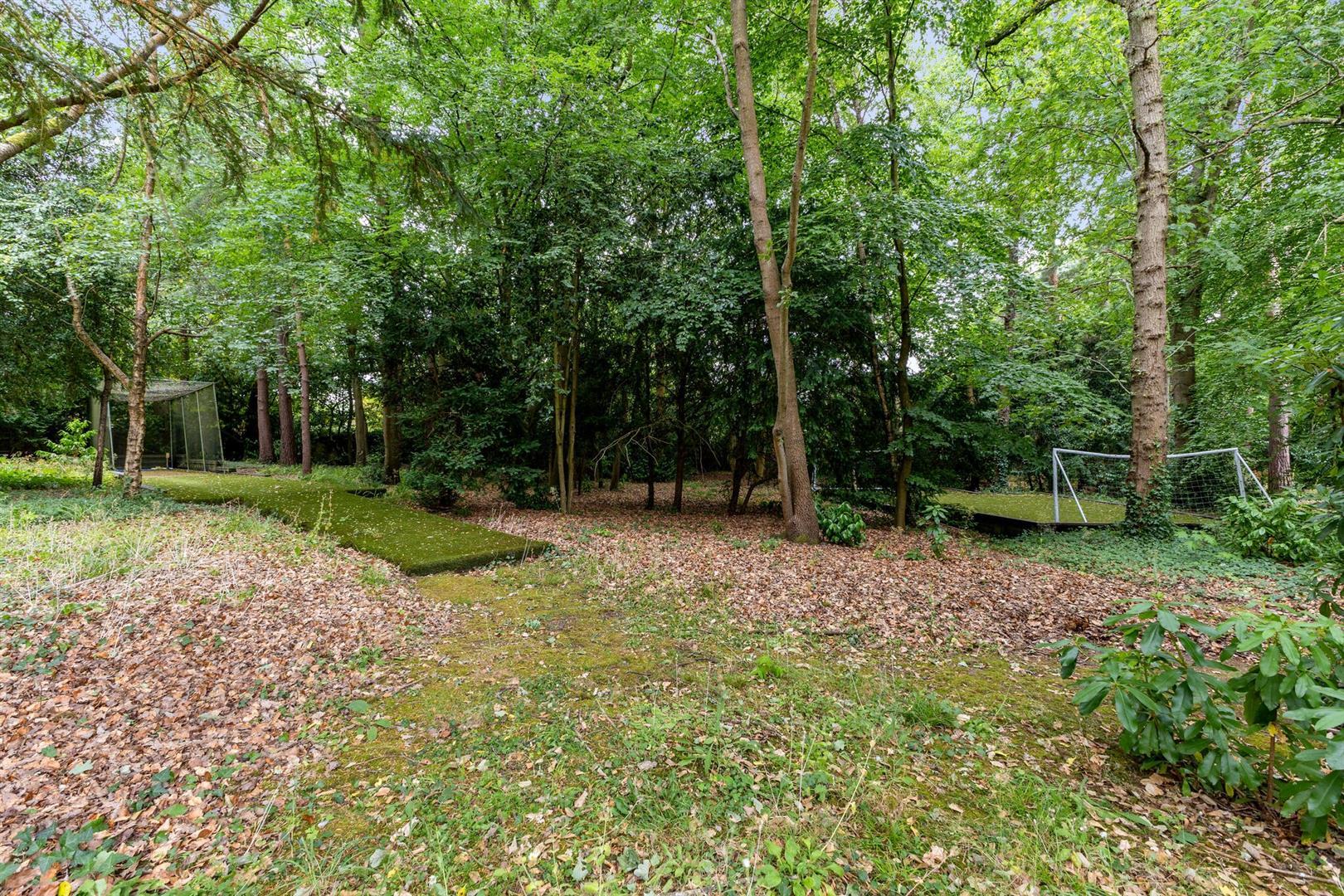 Property Image b245a3ed-c09b-4f43-9794-829411a9c231