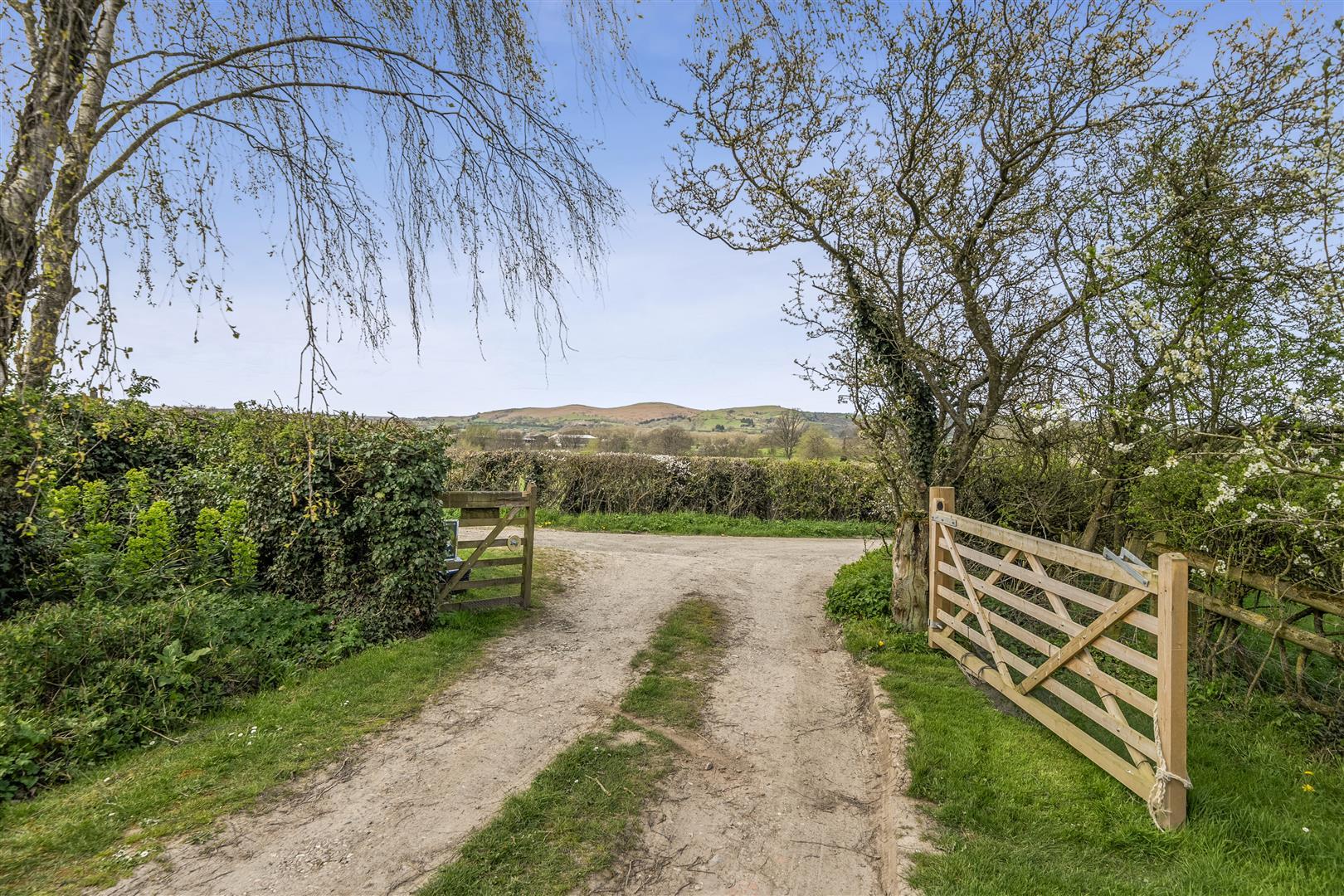 Property Image b26081b6-8945-40f3-a70f-13d420217dbd
